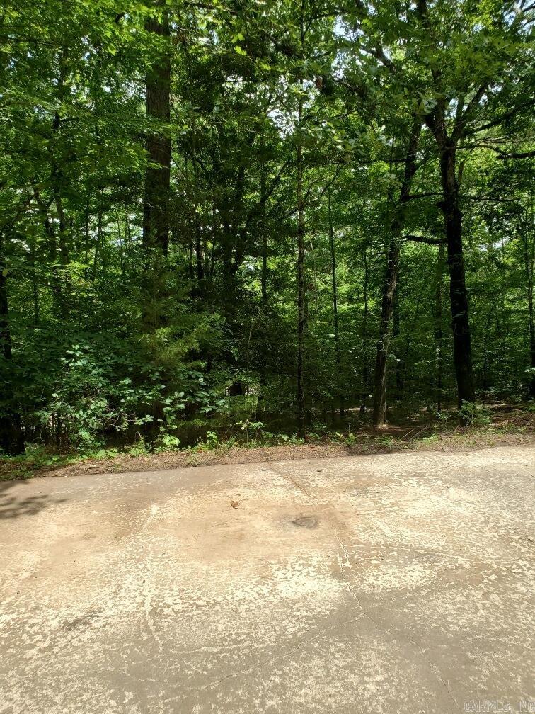 BIG FORK AREA - Residential