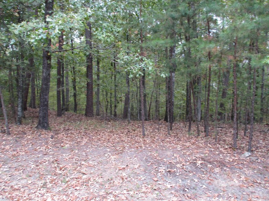Great building lot in Diamante Country Club with gold status. Inside nation's largest gated Community Hot Springs Village Ar.   ..SPECIAL MEMBERSHIP LOT...CONTACT LISTING AGENT FOR DETAILS.....