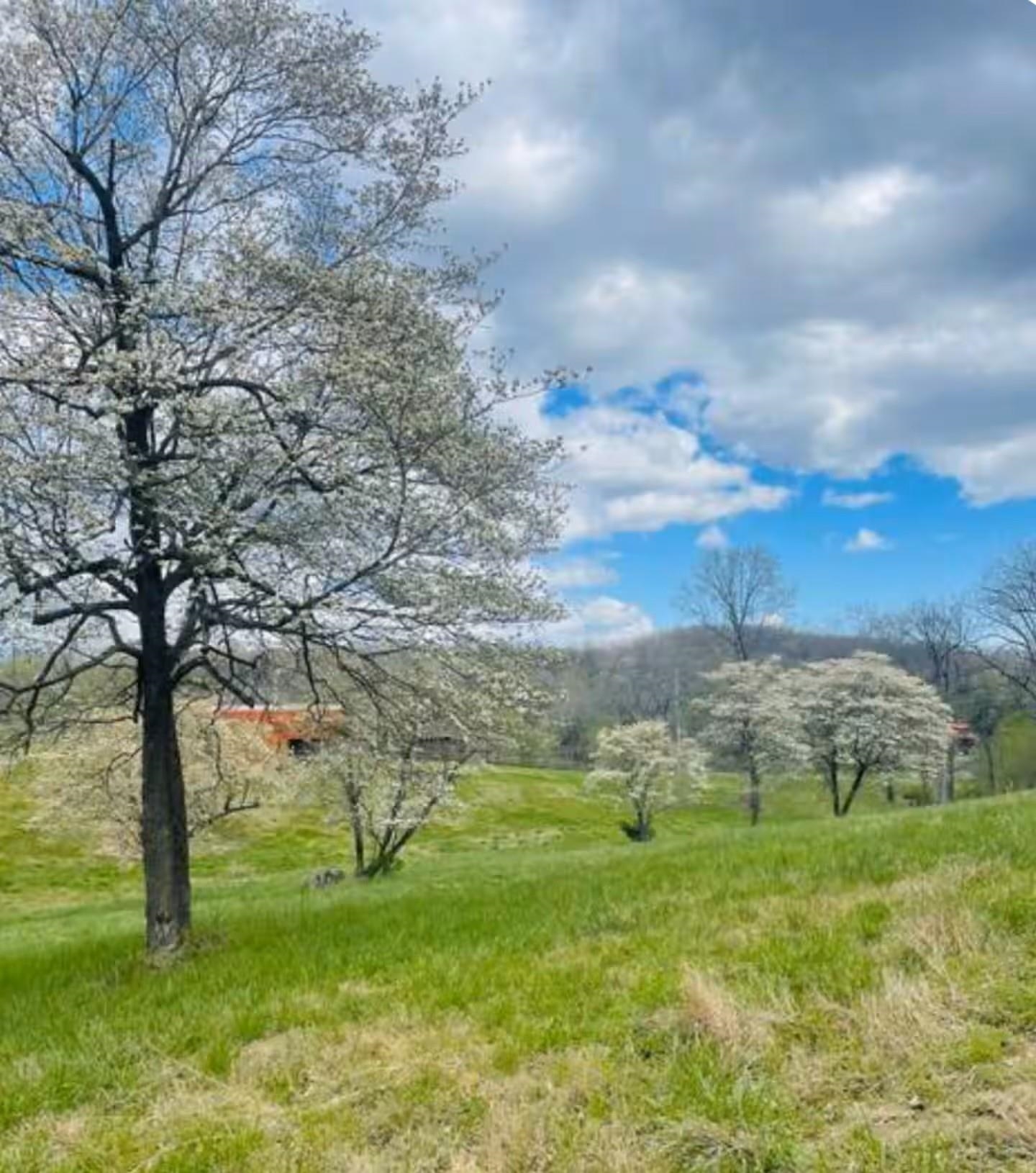 RIVER HEIGHTS - Residential