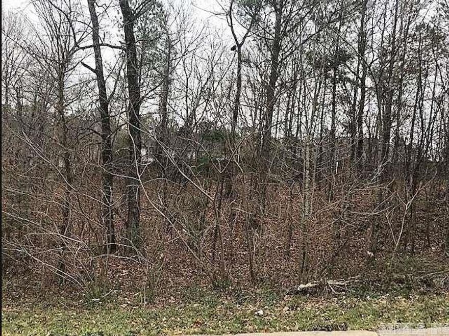 This residential lot is located in a well established neighborhood in Benton. It is 0.22 acres and is within walking distance of Lyle Park which is located on the Saline River! Fishing, boating, canoeing, playground, picnicking, bird watching, etc. Please see attached documents for more information. All utilities are there already and are all underground. Please stop by and take a look and imagine your newly built home. Look for the Keller Williams Realty sign.