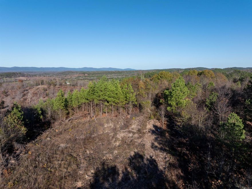 This glorious property offers expansive 360 views overlooking the Ouachita Mountains. Just 5 minutes to Wolf Pen Gap, this scenic spot would make an ideal location to build a luxury cabin. Land in Board Camp is hard to come by, so don't miss your opportunity to own in this highly sought after area. Build site has been recently cleared. Electricity on property. Recently surveyed.