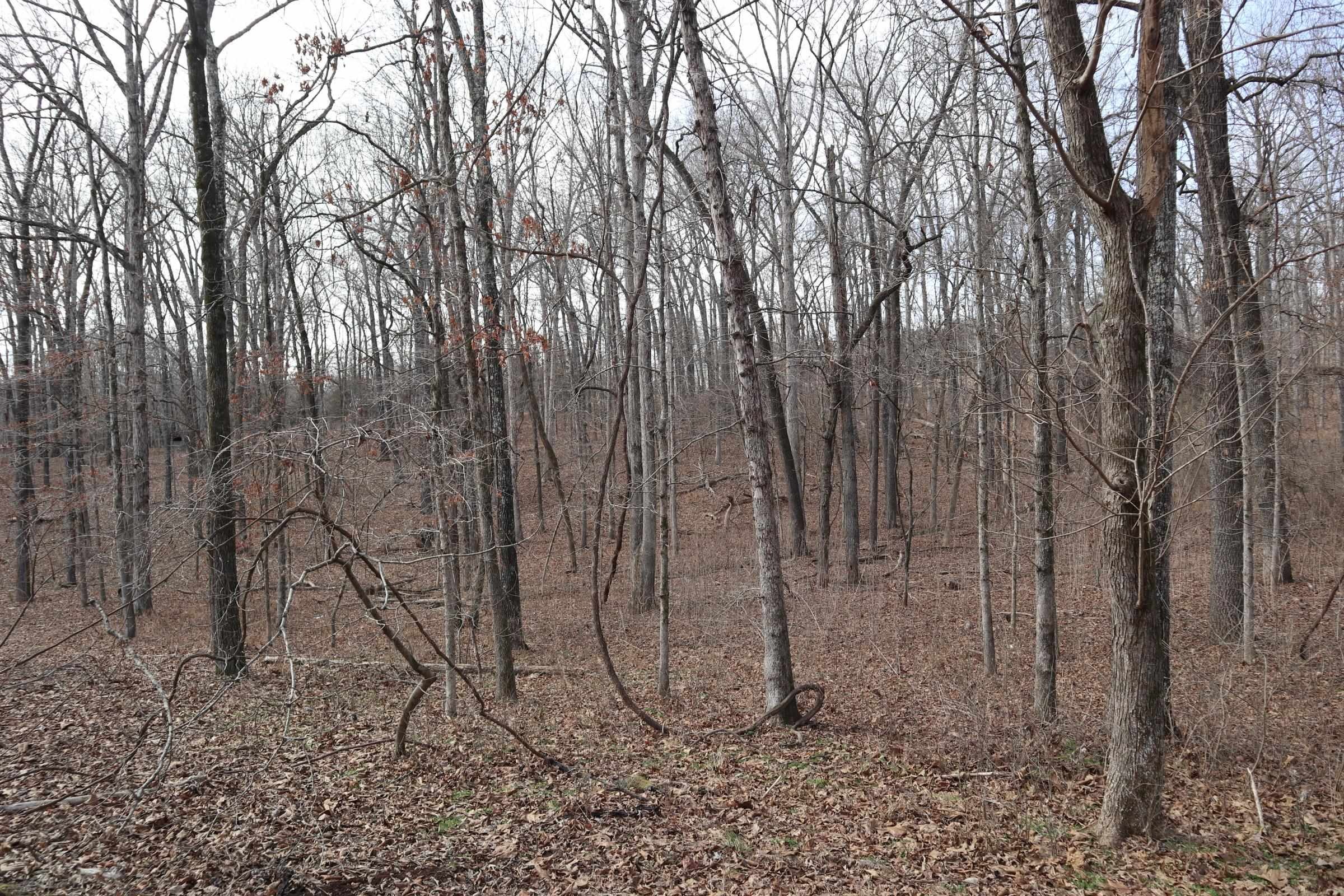 BLACKJACK BEND - Land