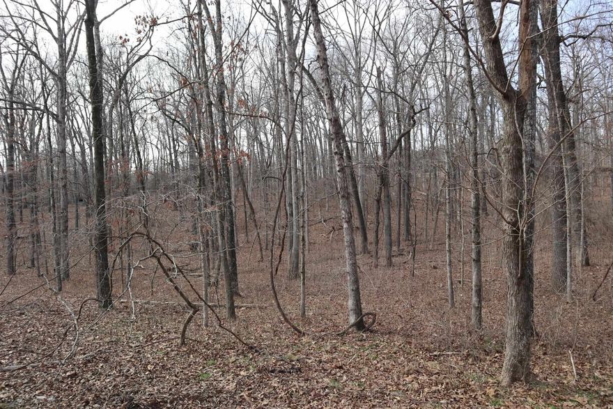 Discover the perfect canvas for your Ozark dreams with this 1.9-acre wooded lot in the sought-after Blackjack Bend Estates. Situated on Great Woods Road, this property offers an ideal blend of privacy and convenience, featuring excellent road frontage and electricity available nearby. Whether you are looking to build a full-time residence or a weekend cabin, this parcel is priced to sell and ready for your vision. With annual real estate taxes at a remarkable $69.70 and a Bill of Assurance in place to protect your investment, this is a rare opportunity to own a piece of Arkansas' natural beauty.  The true highlight of this location is the exclusive river access granted to property owners. Just a short distance from the lot, you’ll find a common use area on the world-famous Spring River, perfect for premier fishing, kayaking, and canoeing. Beyond the water, the charming town of Mammoth Spring is just minutes away, offering local restaurants, craft shops, and the breathtaking Mammoth Spring State Park—home to one of the largest springs in the world. Embrace the relaxed pace of the Ozarks and secure your spot near the river today.