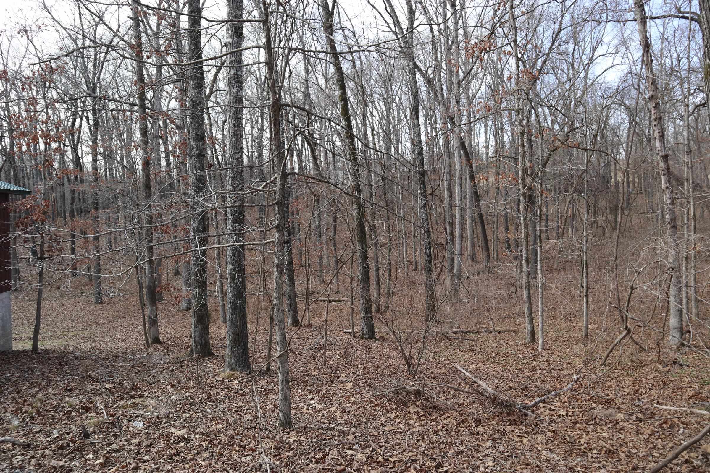 BLACKJACK BEND - Land