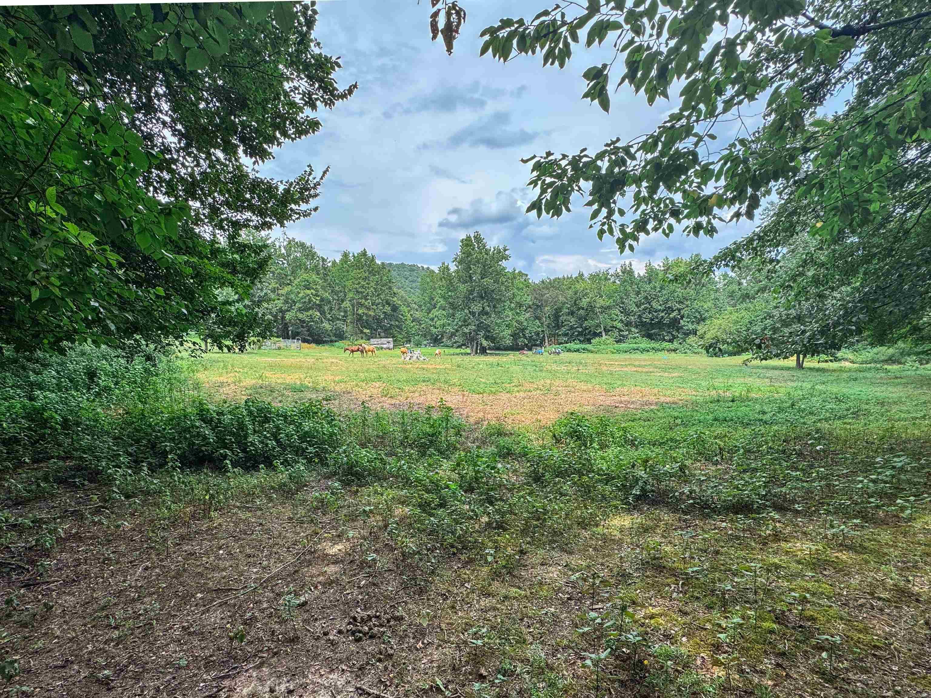 Metes & Bounds - Land