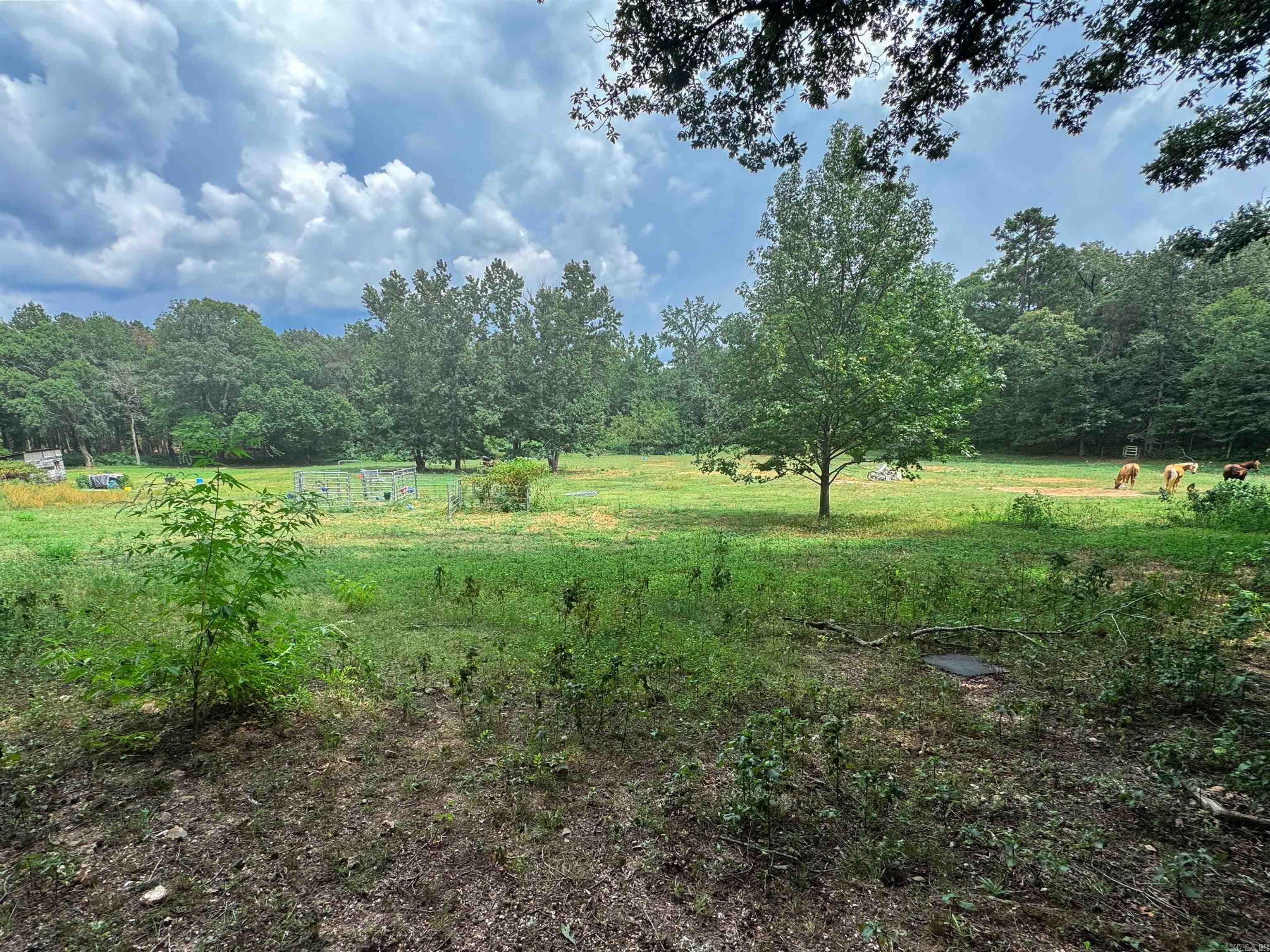 Metes & Bounds - Land