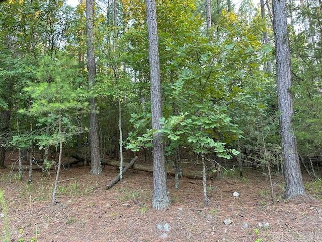 ALTA VISTA - Residential