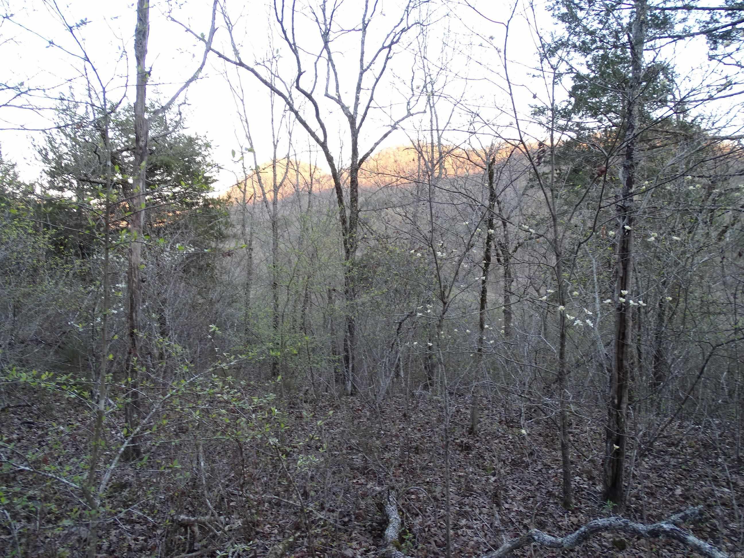 Not in Subdivision - Land