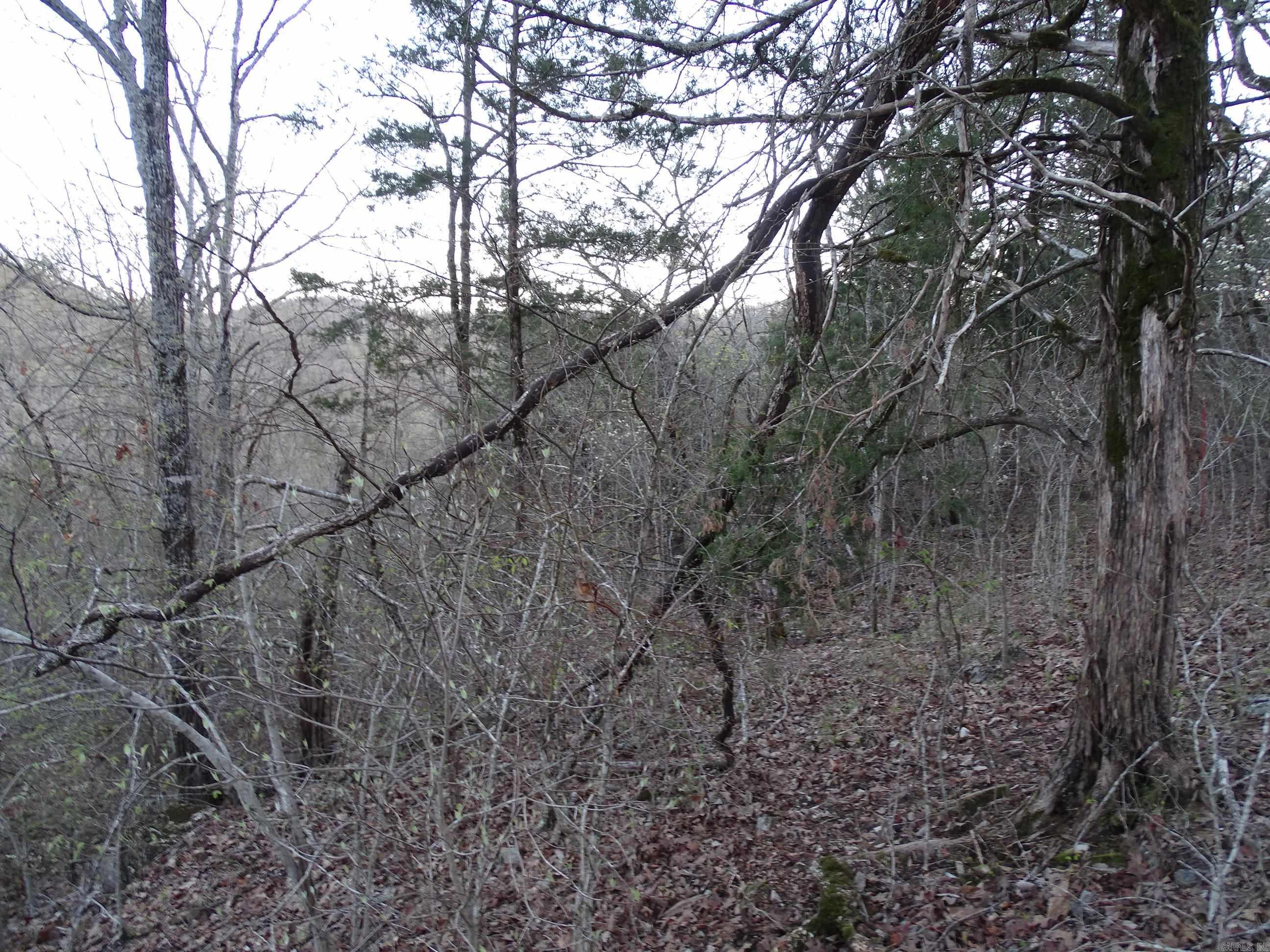 Not in Subdivision - Land