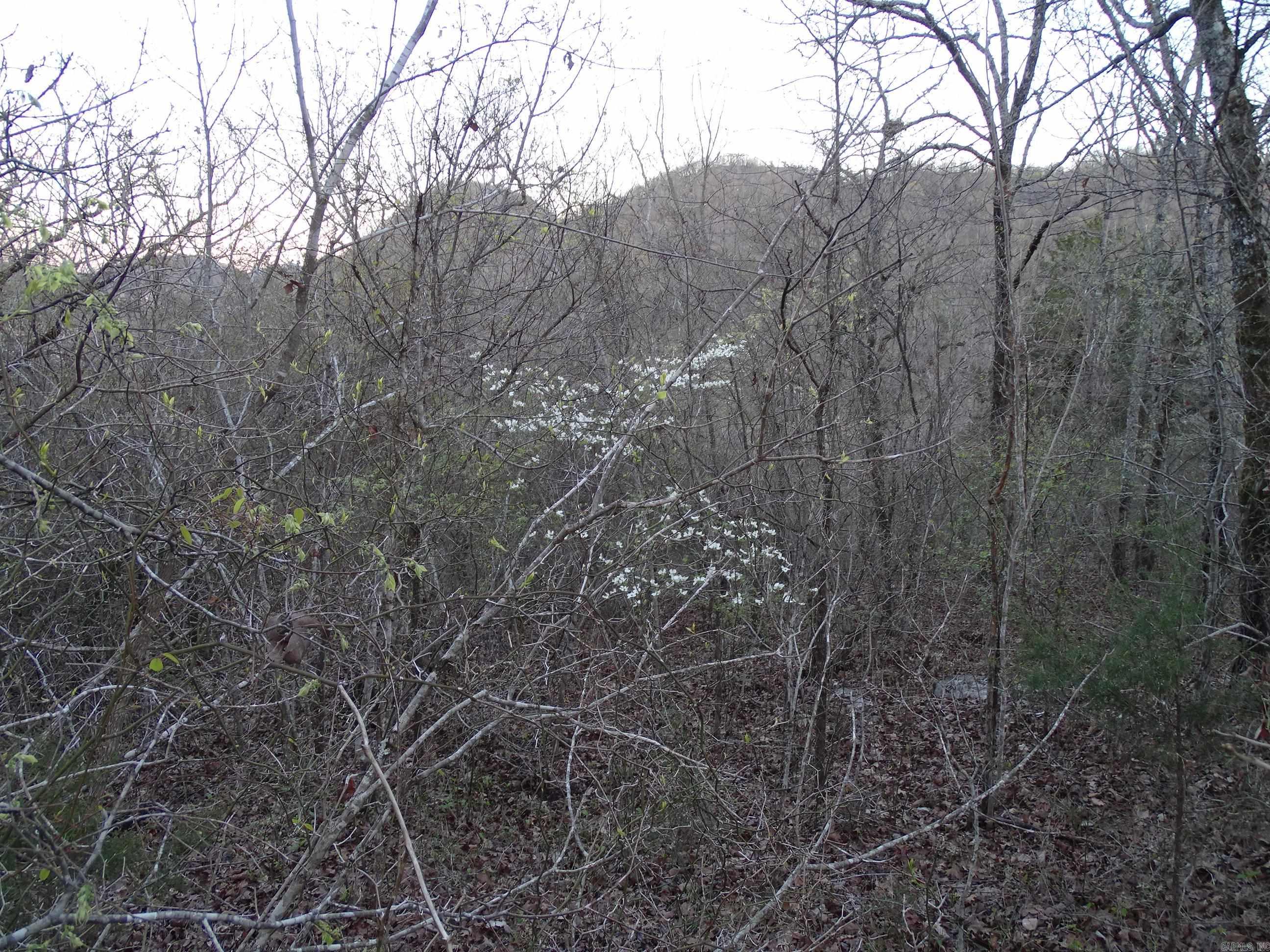 Not in Subdivision - Land