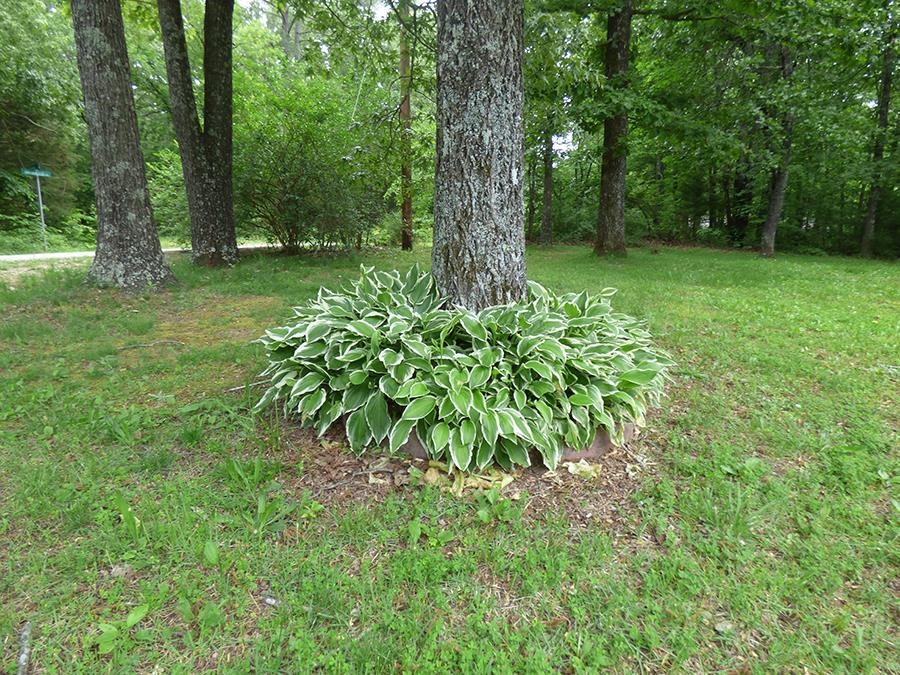 Choctaw Third - Residential