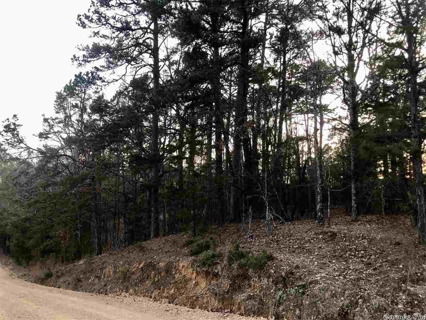 2 acres located within 1.5 MILES of De Queen Lake! With road frontage, this wooded lot also comes with a utility pole (electric) available. This would be a nice secluded homestead, or cabin/lake house close to the water.