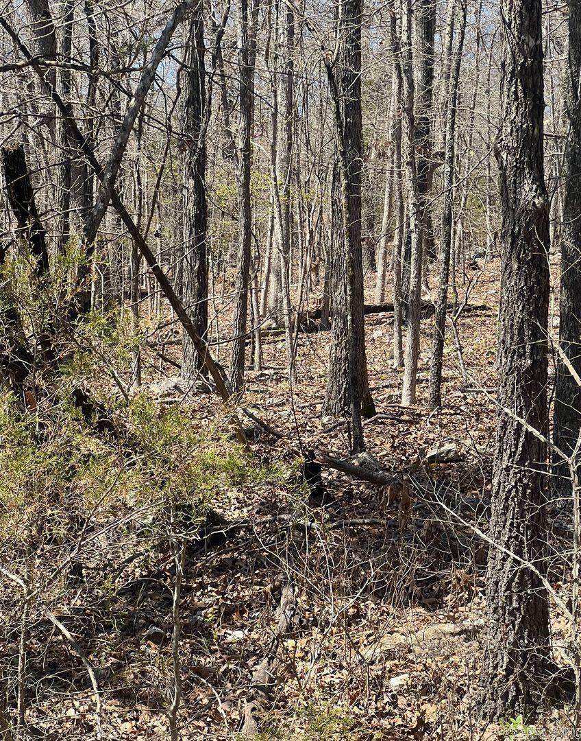 Owner financing is available- 605 E. Forest Hill Circle This 0.50-acre wooded lot is the perfect size to build your forever home, vacation home or plan for retirement! The Horseshoe Bend Water Department will have Water & Sewer information for you concerning water service and trash service. That number is 870-670-5885 or you can email at water@cityhsb.org The electricity is provided by North Arkansas Electric Cooperative. Their number is 870-895-3221. Horseshoe Bend has so much to do for the whole family like fishing, canoeing, golfing, bowling, swimming, etc. Diamond Lake & Crown Lake are a 5-minute drive from these lots! Crown Point Resort is also 5-minutes offering local jobs and entertainment! Horseshoe Bend is also ATV friendly, with a permit. They have their own law enforcement, a private airport/airport strip, recycling center, and TELECARE program for the elderly. All within 10-minutes!