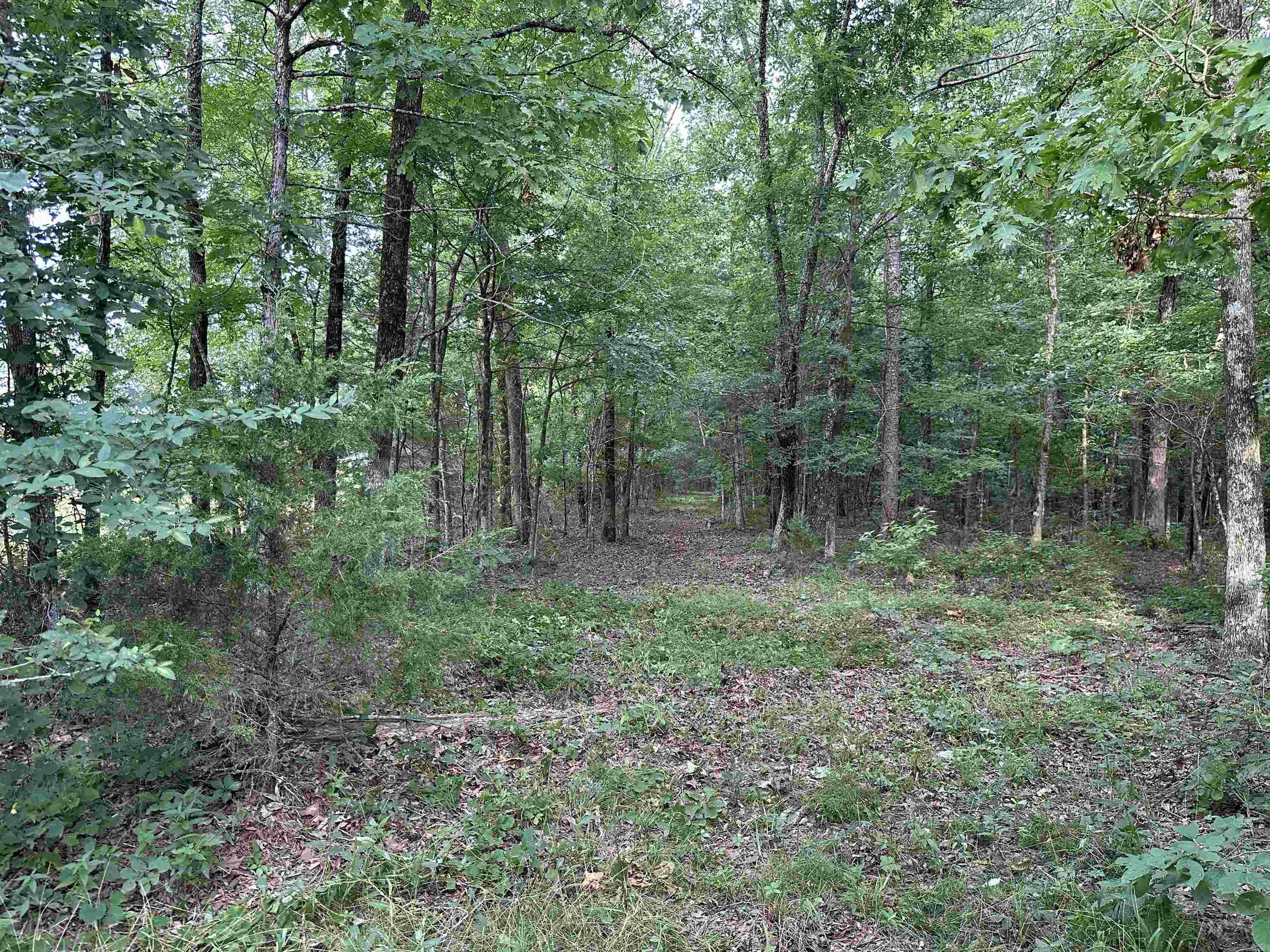 Metes & Bounds - Land