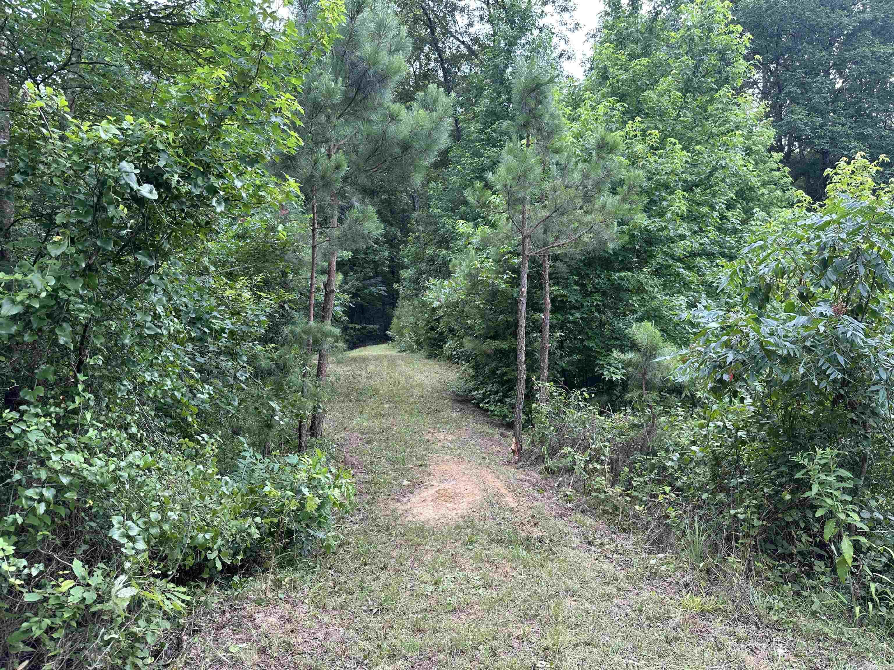 Metes & Bounds - Land