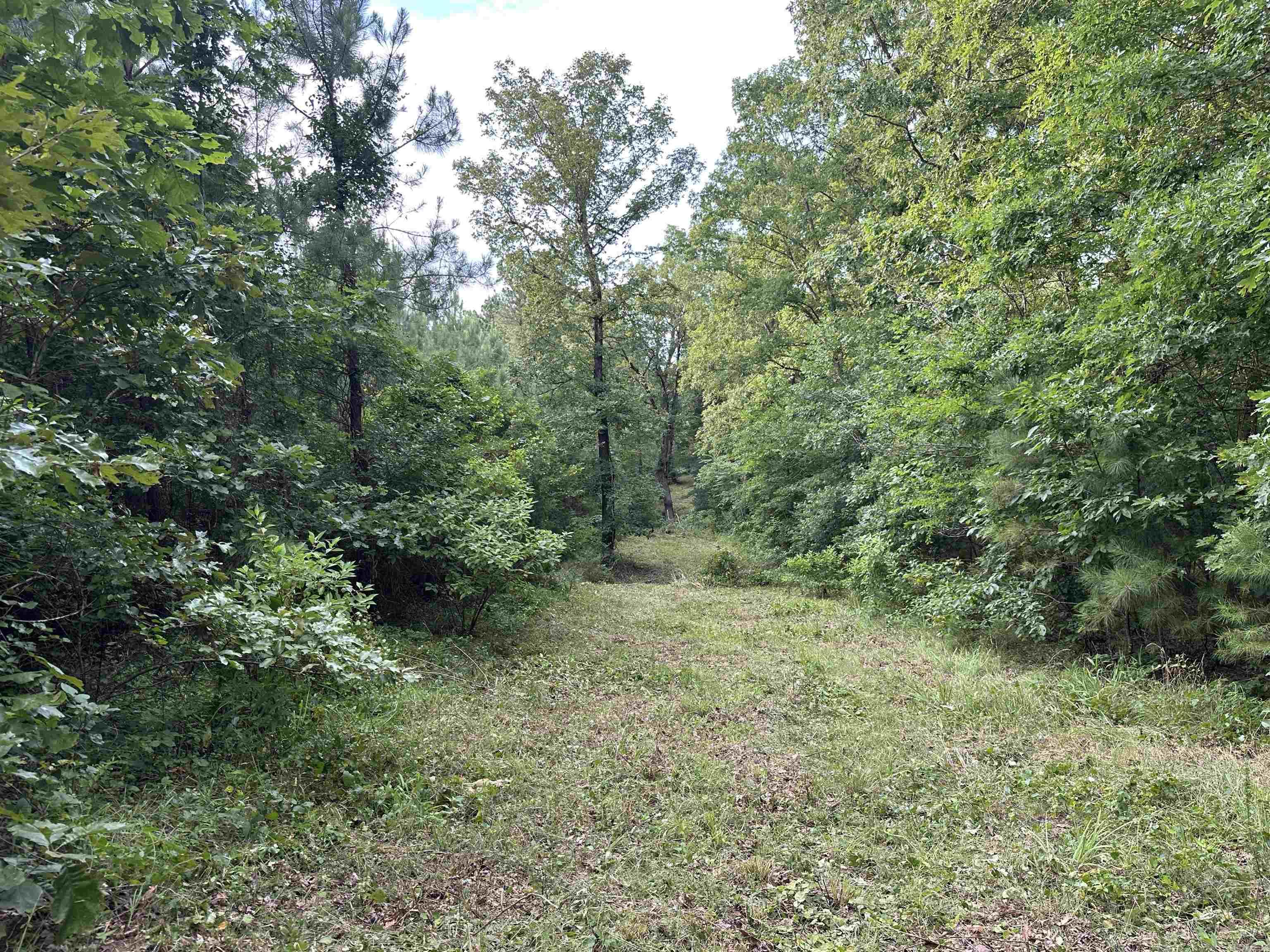 Metes & Bounds - Land