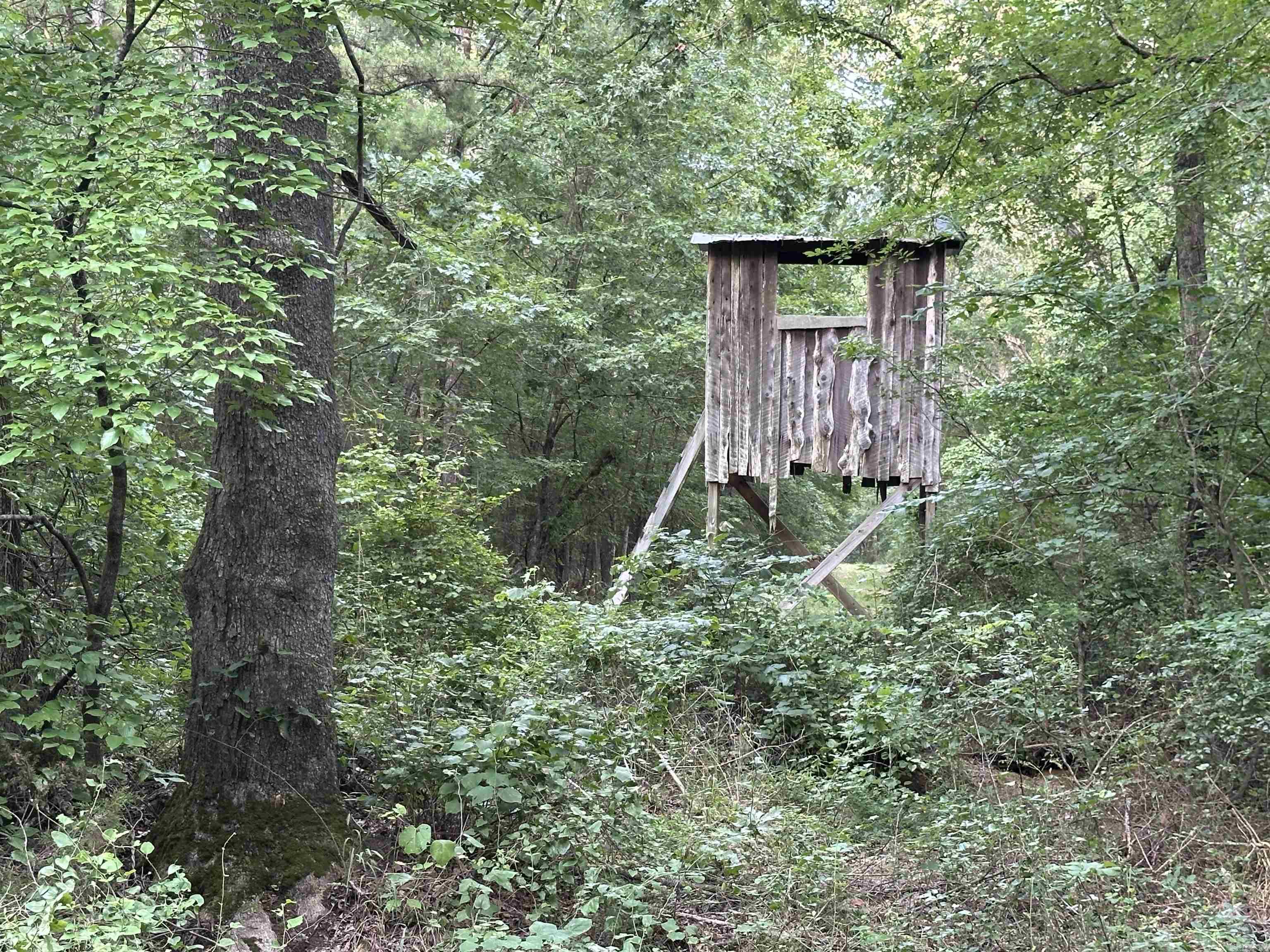 Metes & Bounds - Land