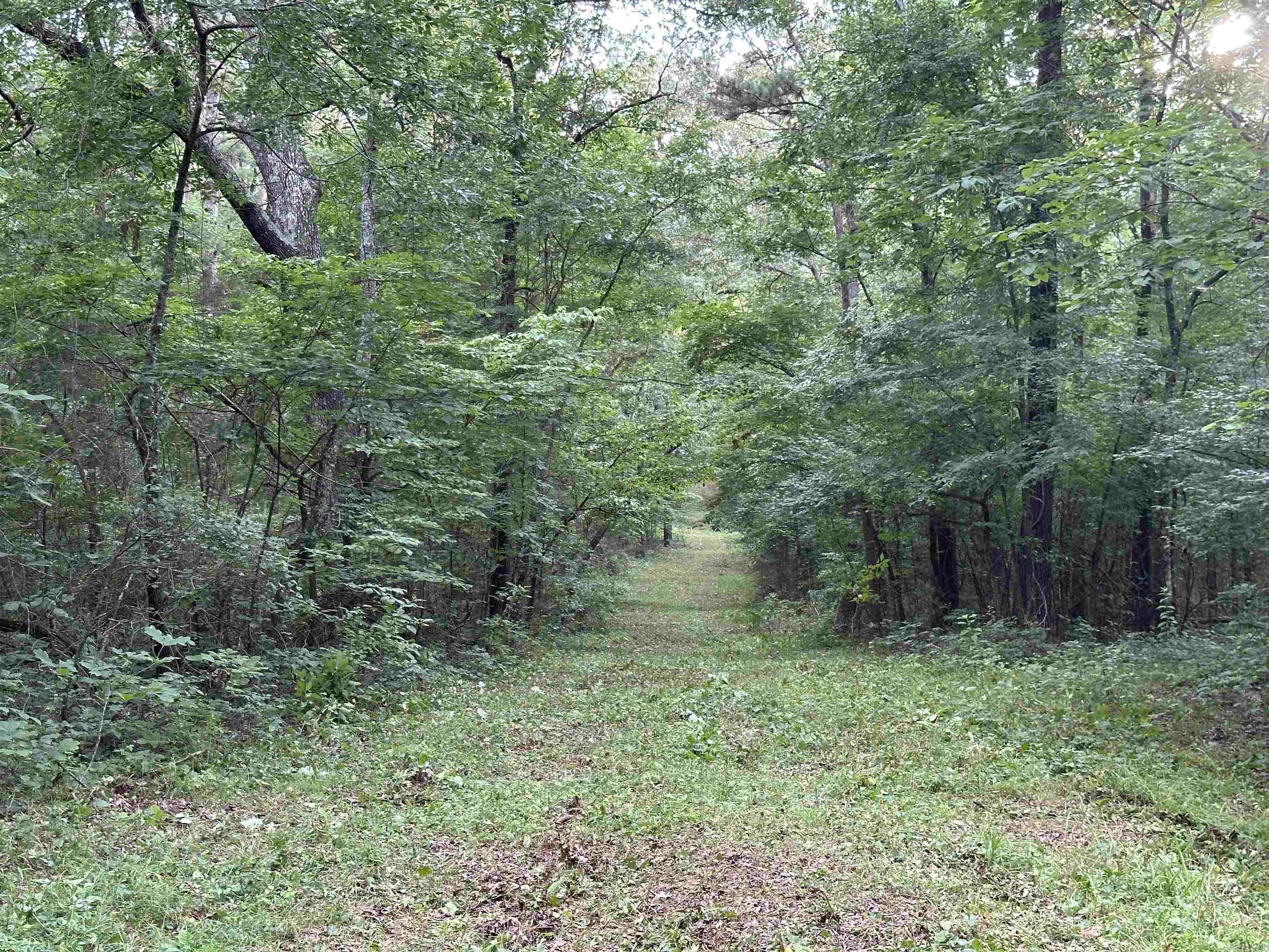 Metes & Bounds - Land