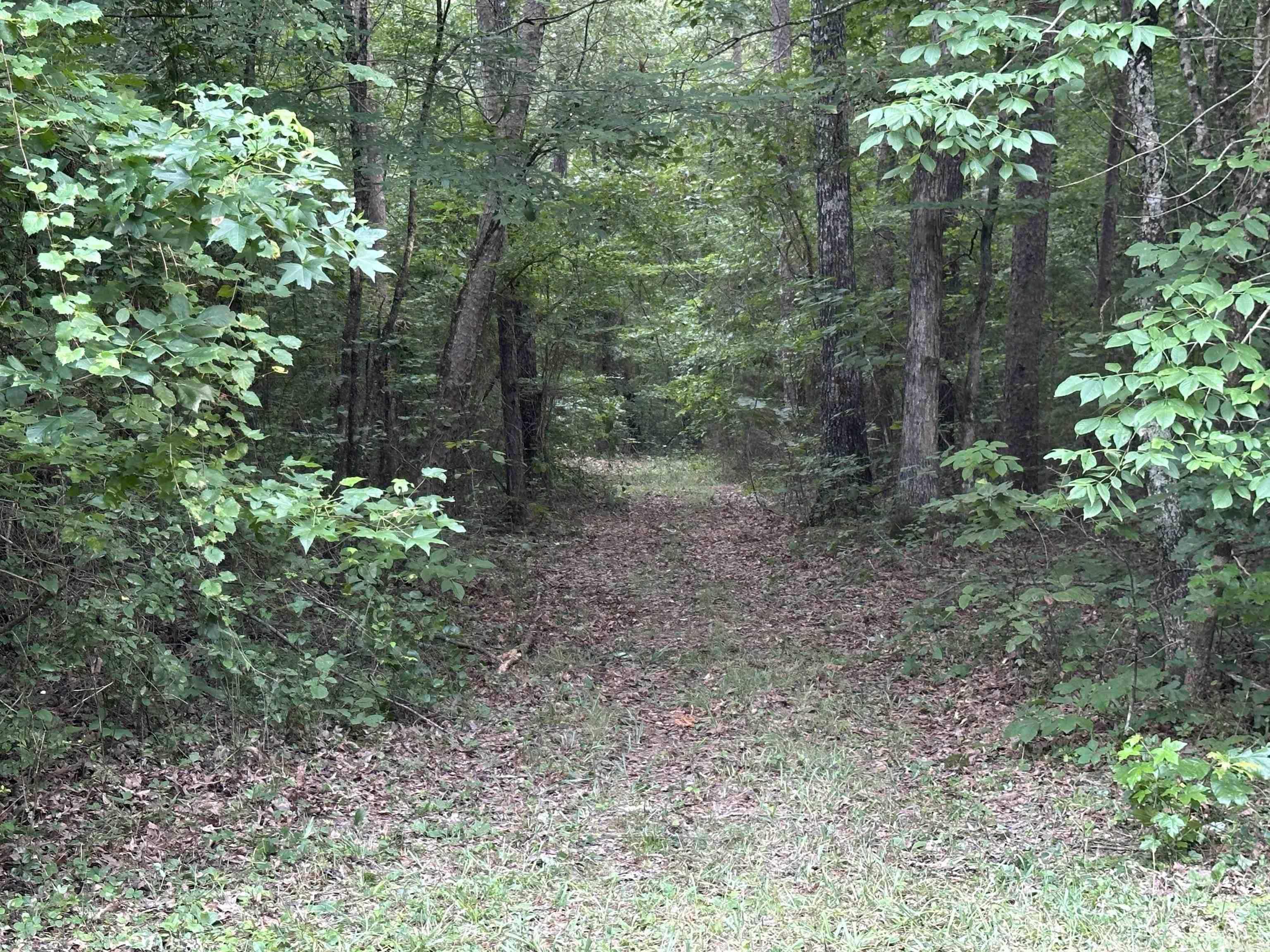 Metes & Bounds - Land