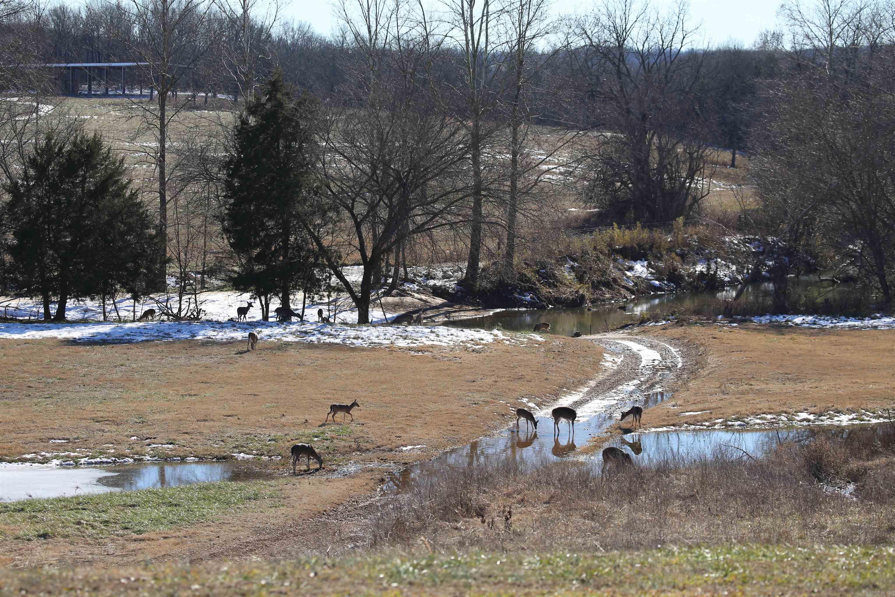 00-10-09 - River - Commercial Sale