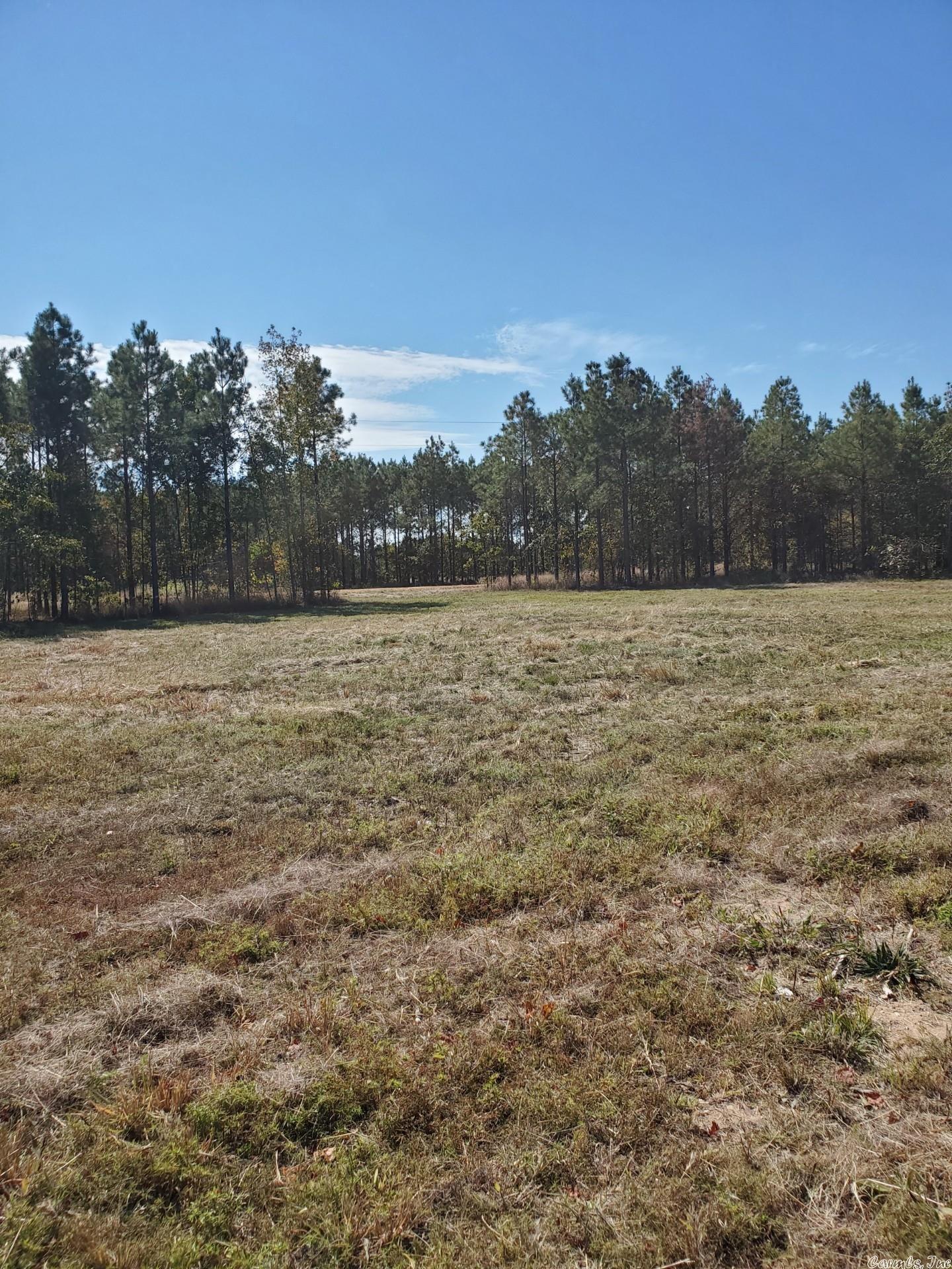 Get ready to embrace country living!! Young Pines Subdivision is newly developed and ready for dream homes to be constructed! Lots are located in the Woodlawn School District, equipped with water, electricity, and natural gas, and are located on brand new county road, Young Pines Road. Restricted to 1,500 sqft homes - no trailer, mobile, or modular homes allowed. Lot 2 is a 3 acre lot. Come take a look today!