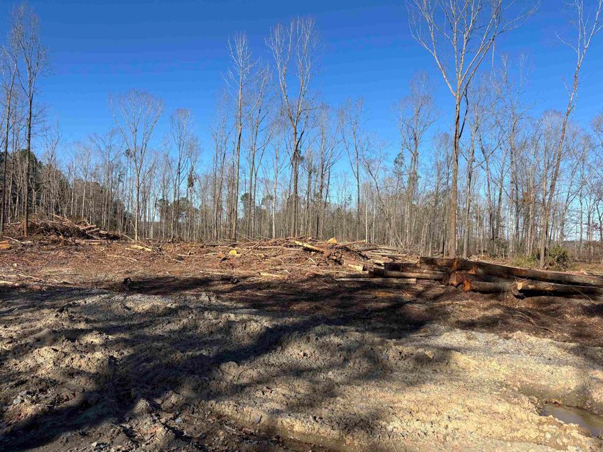 *5 Acres* Build your dream home on this wonderful property. Gorgeous residential cut that welcomes livestock and outdoor enthusiasts alike. Nestled within an excellent school district and a vibrant community, this property is currently being split from a 10-acre tract and will include a new survey.