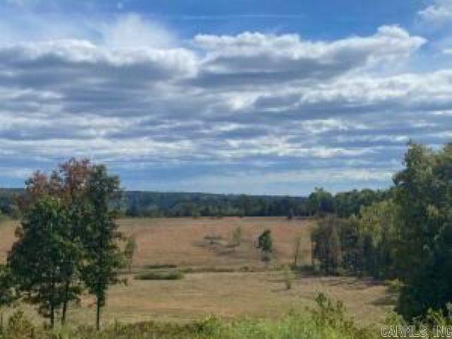 Take advantage of a unique opportunity to own nearly 80 acres of picturesque land, conveniently located on Hwy 7 N! This expansive parcel offers unparalleled privacy and stunning natural beauty, with direct borders to the National Forest on 2 sides. Ideal for building your dream home (a 1/2 mile long driveway and house pad already developed), recreational retreat with abundant wildlife, or investment in land development. Close to Long Pool Rec Area, Piney, Mack's Pines, Dover Lights, and more....this rare gem combines seclusion with accessibility, making it a perfect canvas for your vision. Contact us for more details or to schedule a viewing today!