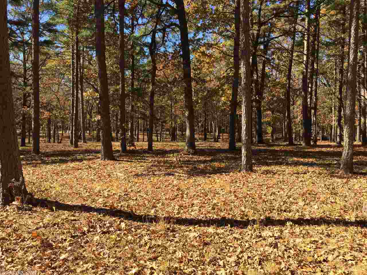 Beautiful 15 Acres of timber covered land on Springhill Road. Close to the interstate. Two different Parcels 5 acres on Springhill and 10 acres behind that.