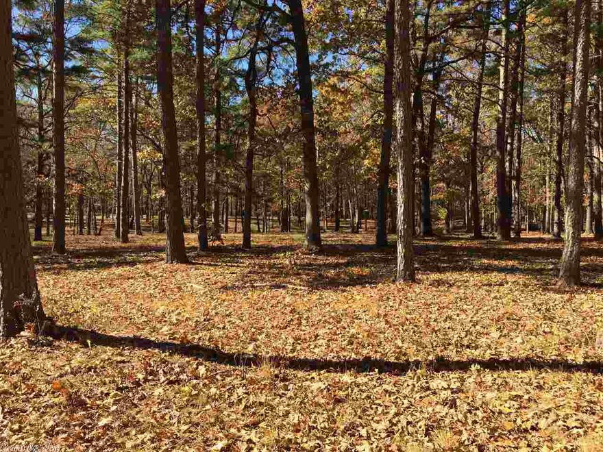 Beautiful 15 Acres of timber covered land on Springhill Road. Close to the interstate.  Two different Parcels 5 acres on Springhill and 10 acres behind that.
