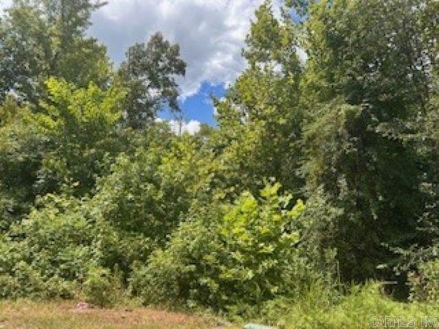 Great treed lot for your new home situated on a nice quiet cul de sac.  The lot next door is also for sale.  The two would make a large, lovely home site. Come check it out today!