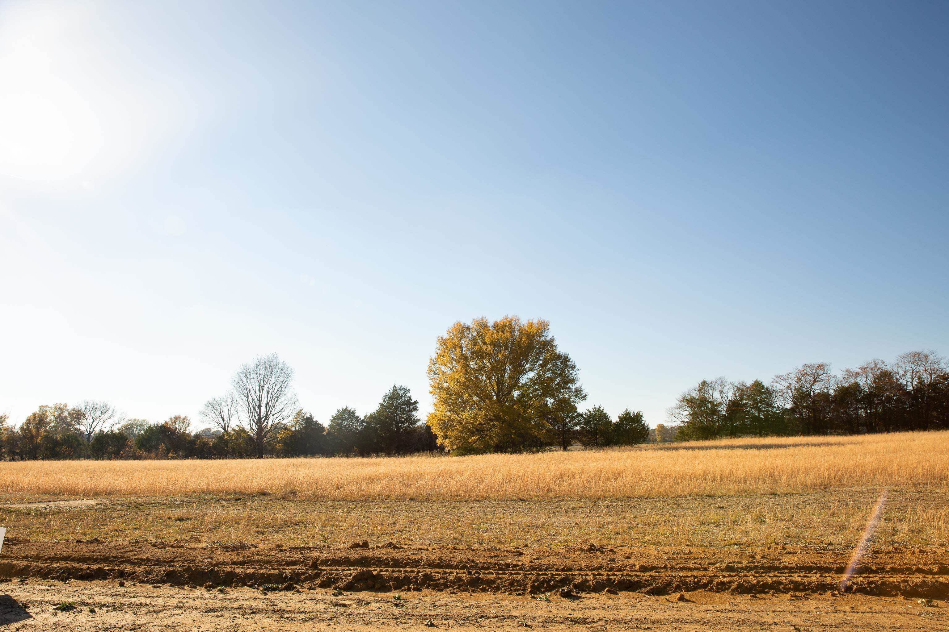 Woodland Estates - Land