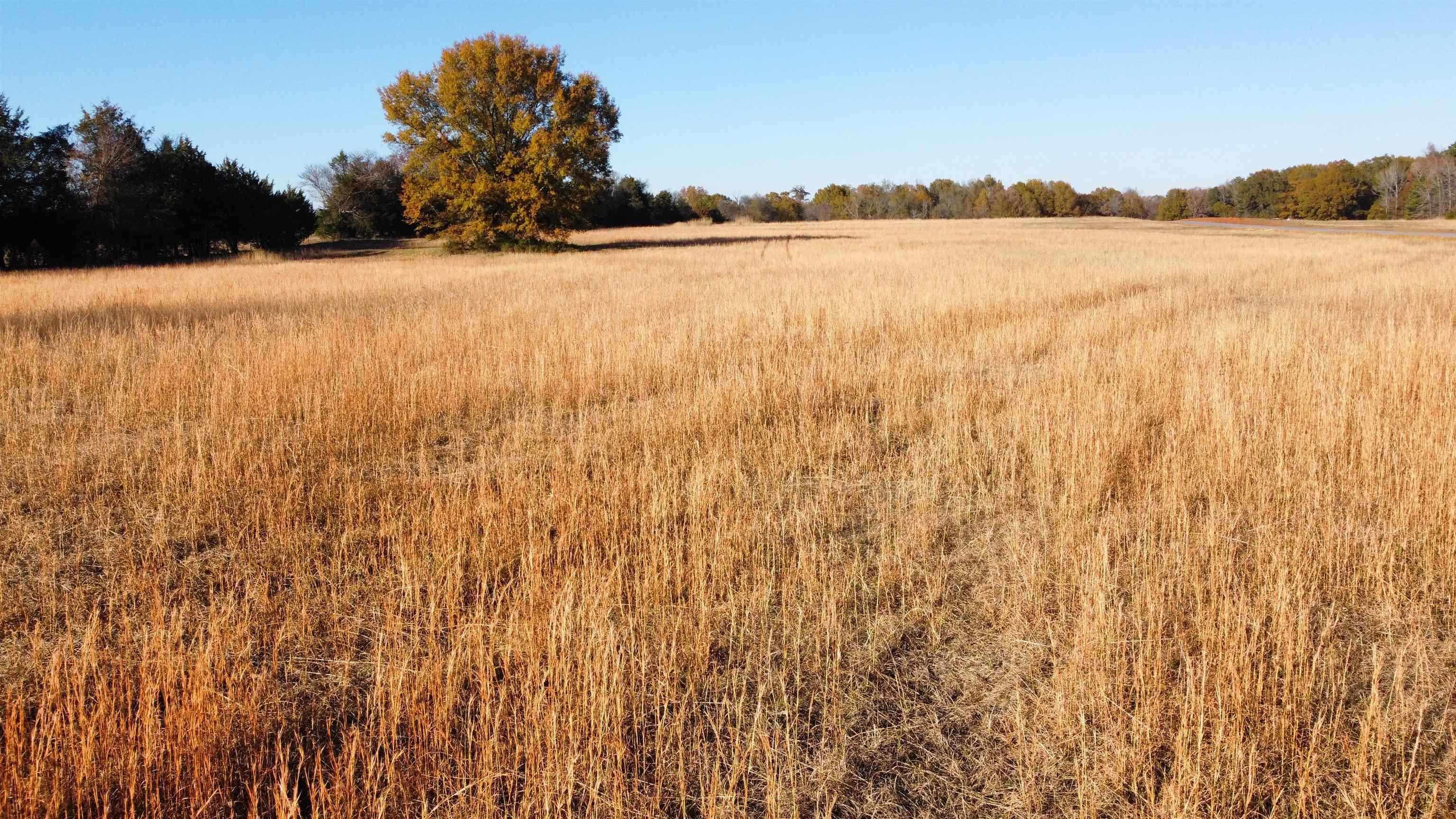 Woodland Estates - Land