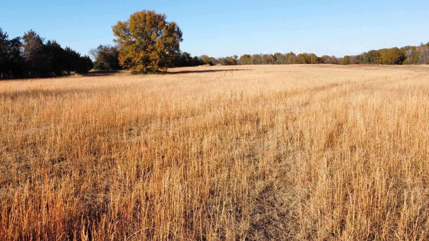 This stunning 4.11+- acre lot is nestled in the new subdivision, Woodland Estates, and is ready for a new home! This lot has a wooded back fence line and a very old Oak Tree that stands out in the best way! Custom homes in the neighborhood are in progress! 3,000 sqft build minimum