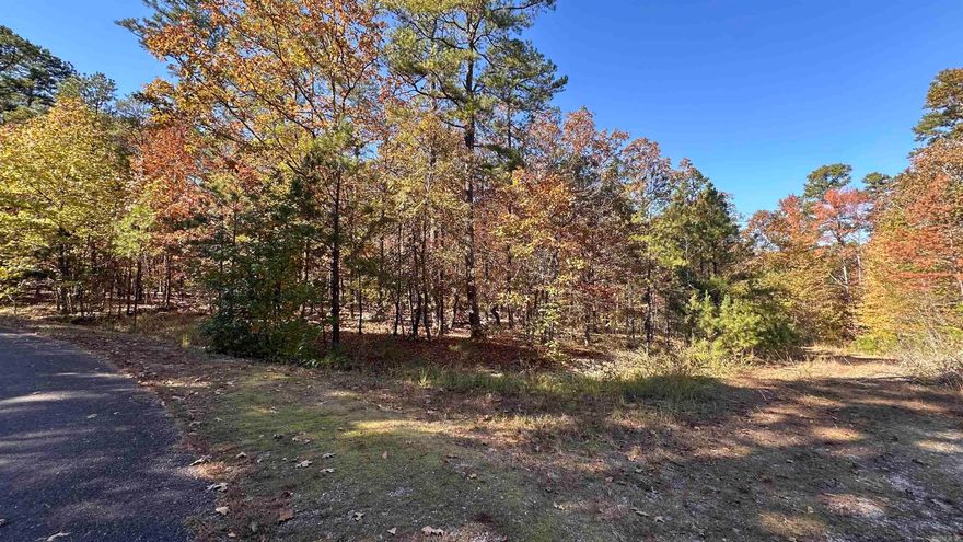 Build on this beautiful secluded wooded corner lot just a few minutes from Lake Balboa!