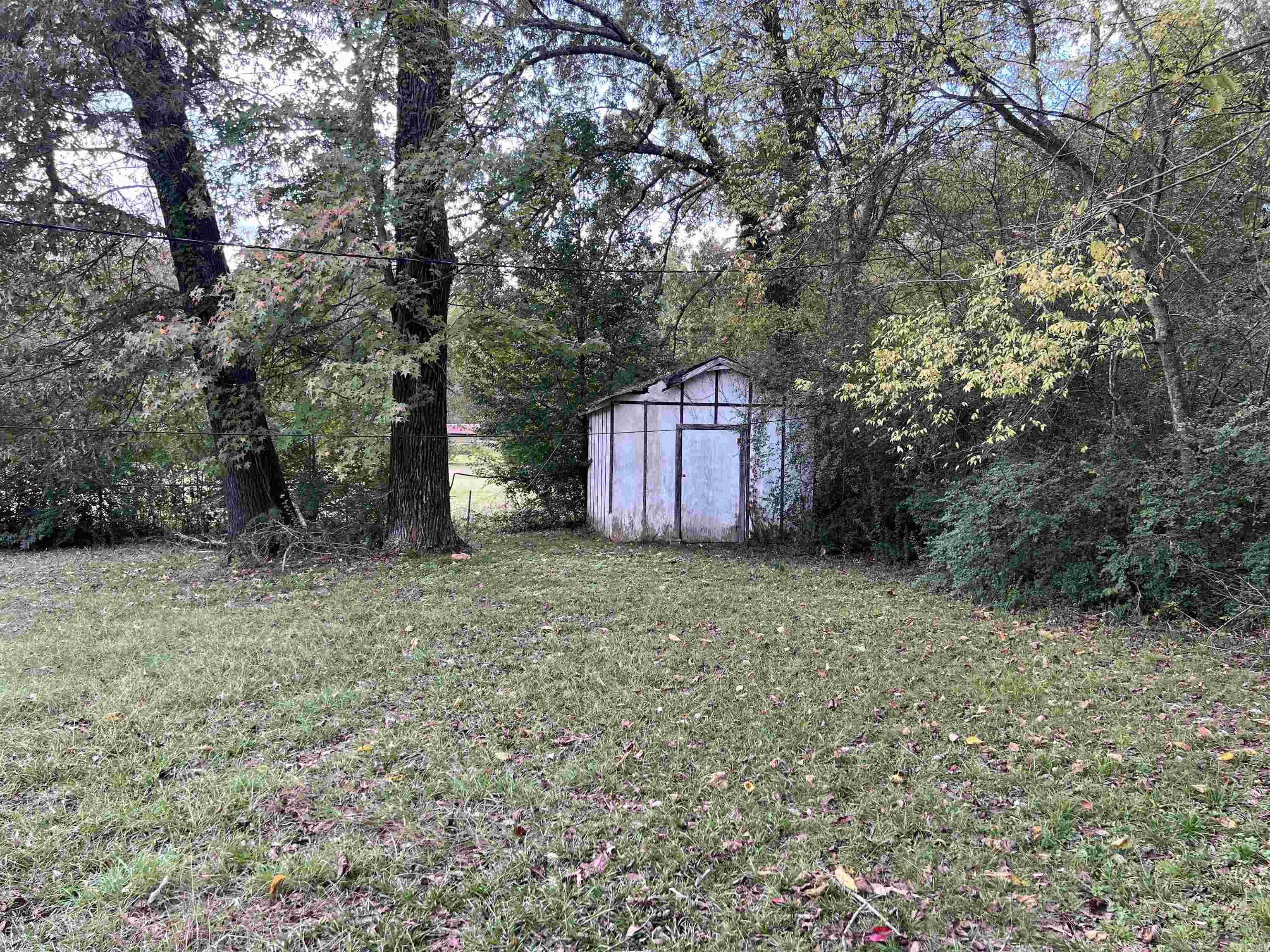 Mountain Pine - Residential