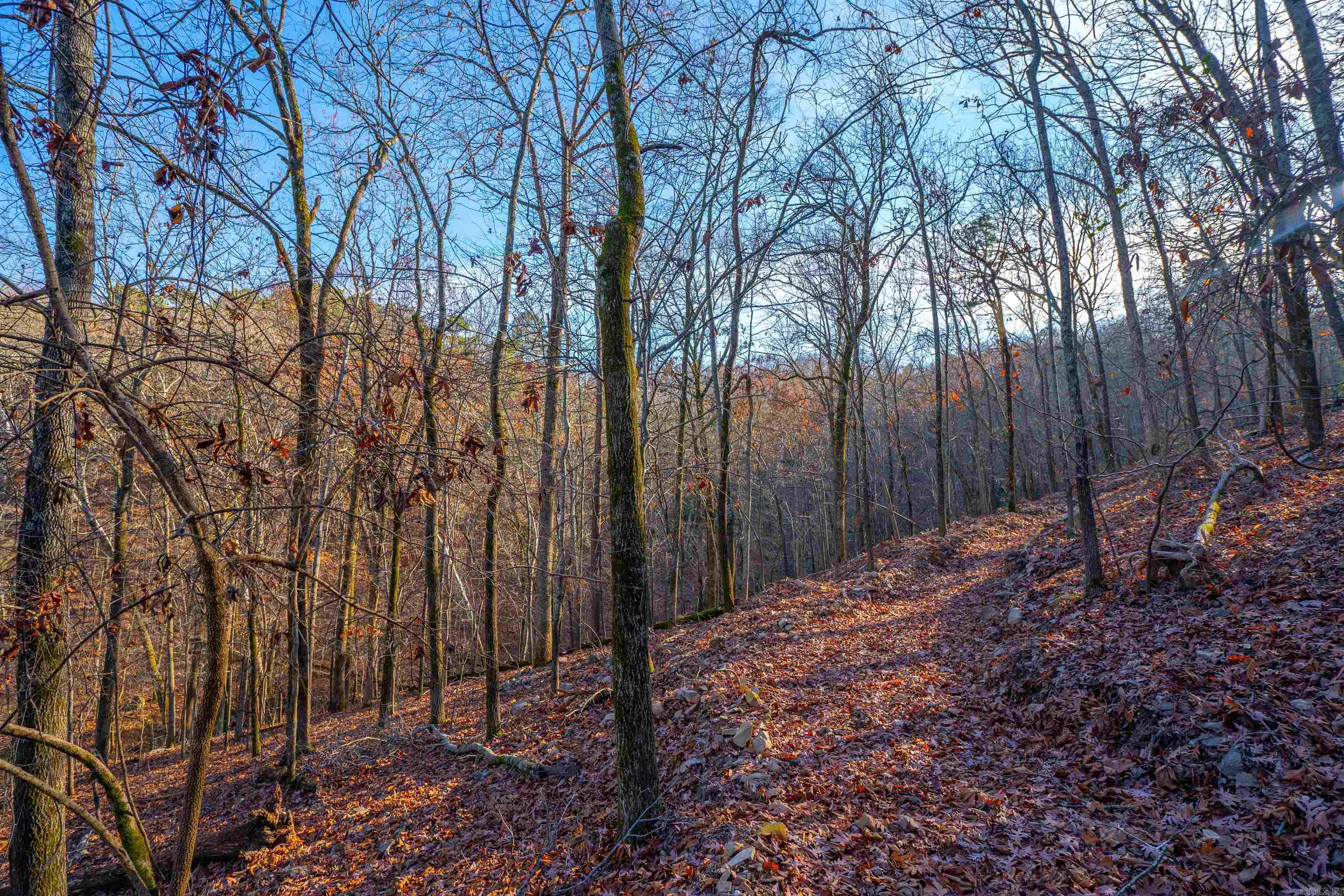 Greathouse Bend - Land