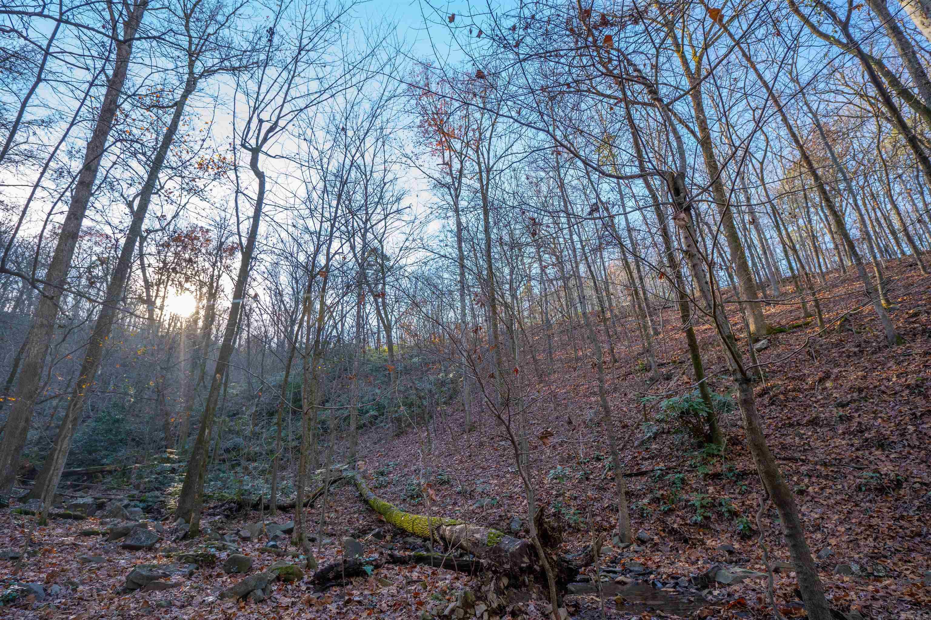 Greathouse Bend - Land