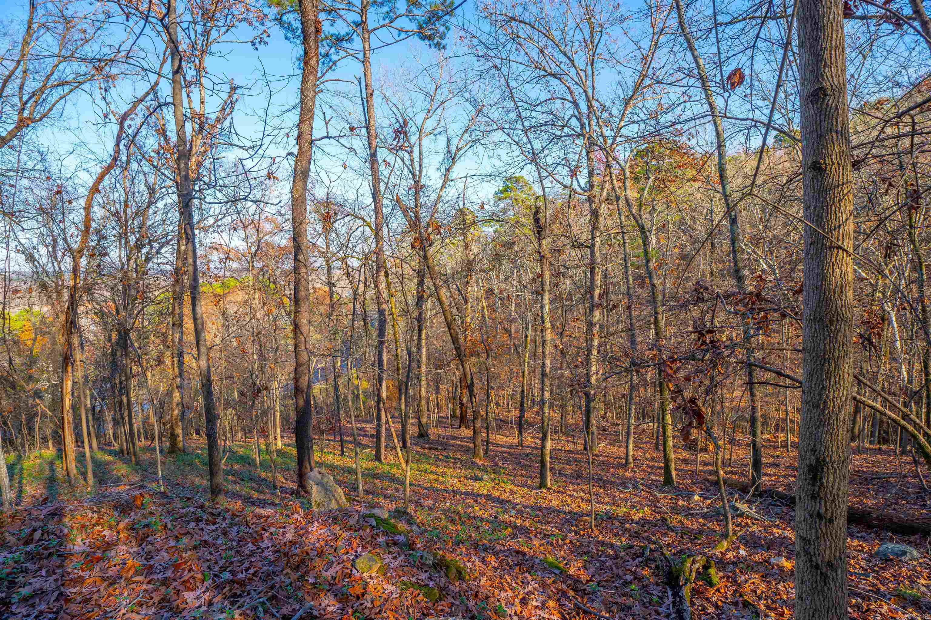 Greathouse Bend - Land