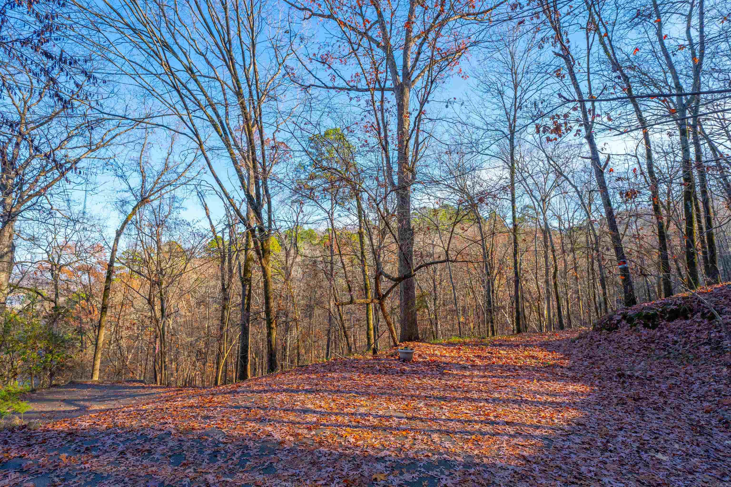 Greathouse Bend - Land