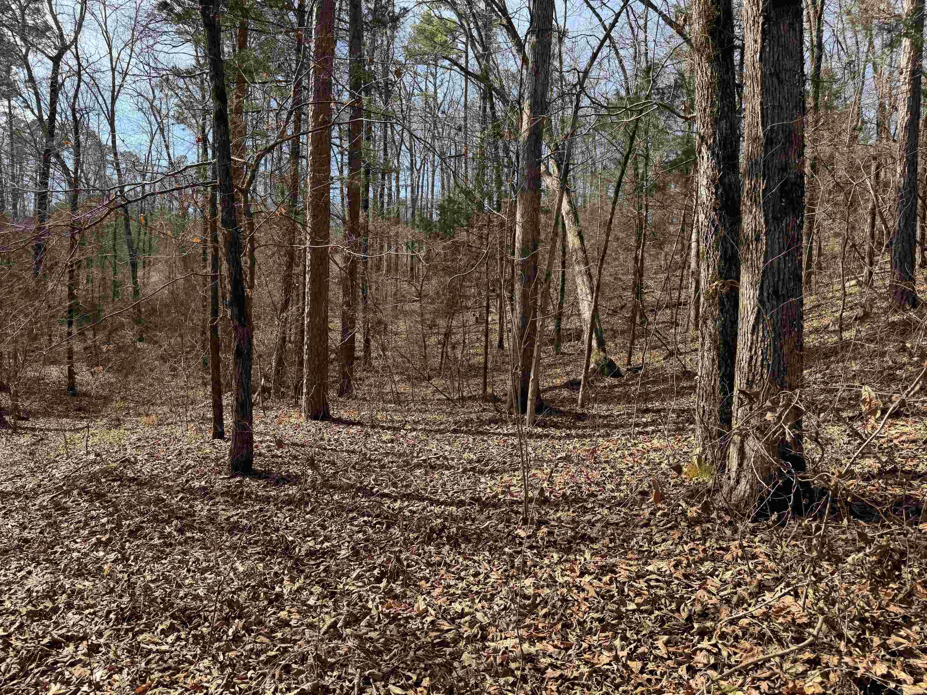 Metes & Bounds - Land