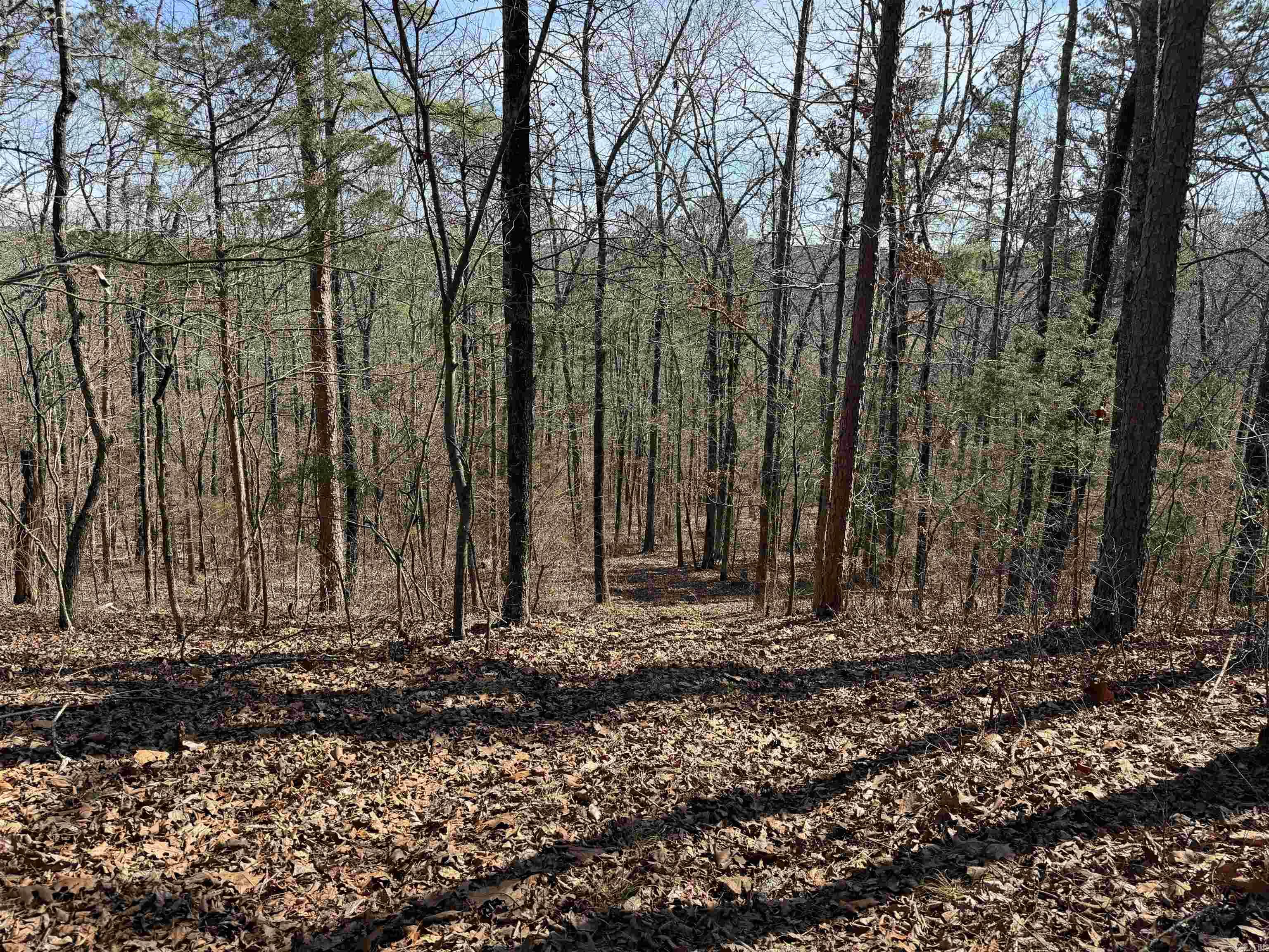 Metes & Bounds - Land