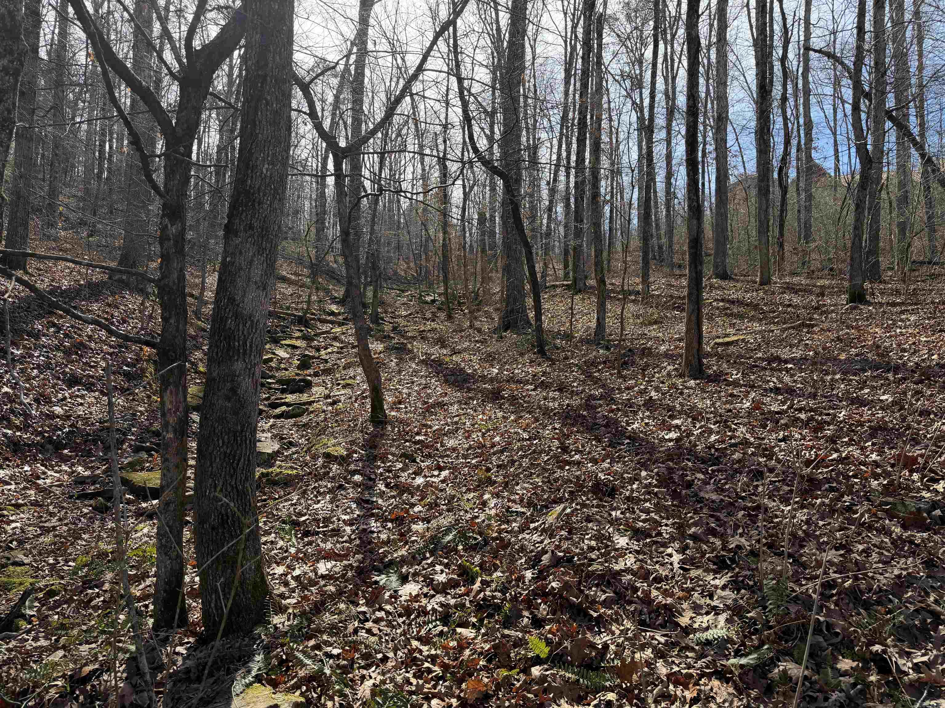 Metes & Bounds - Land