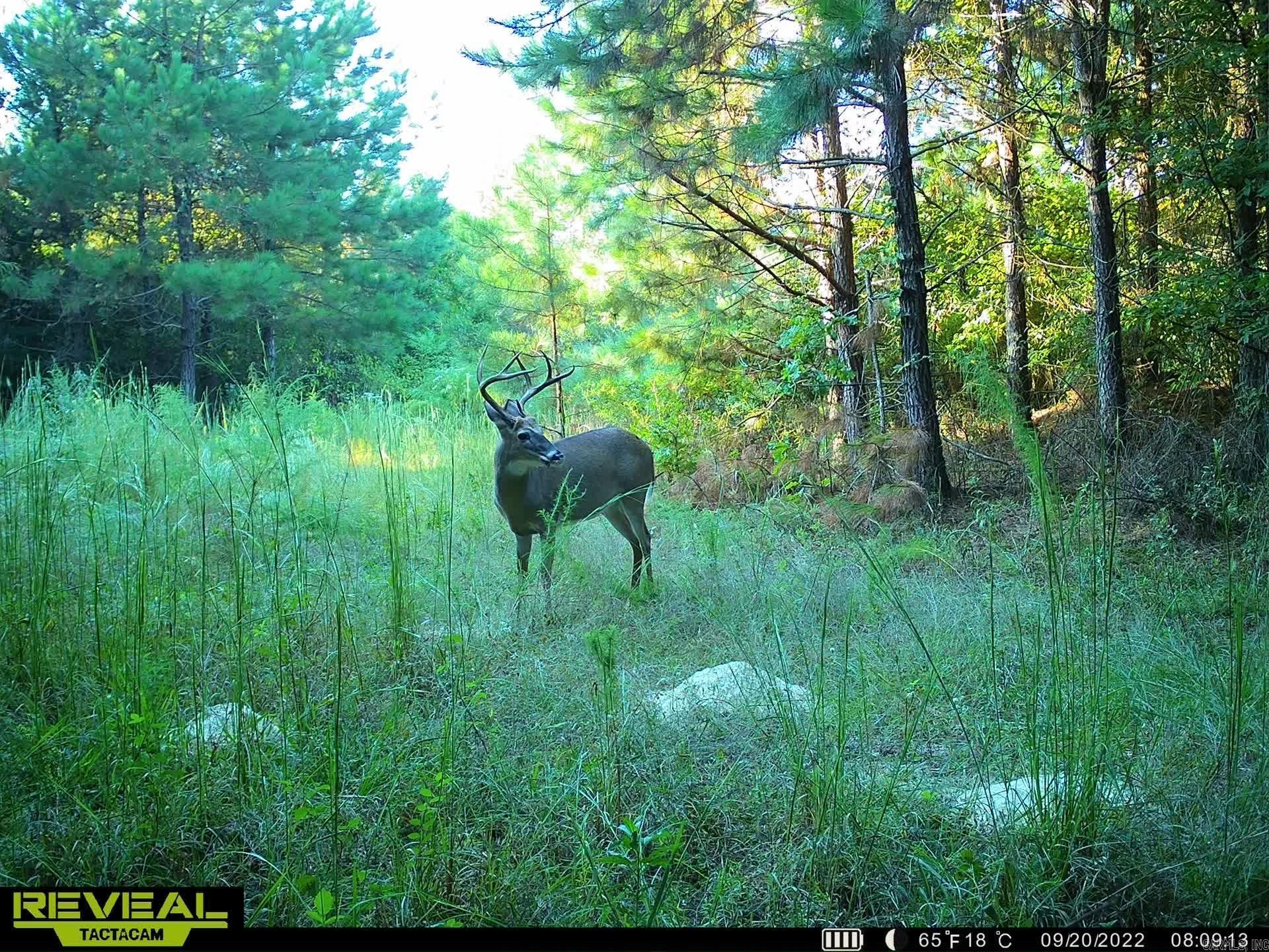 Metes & Bounds - Land