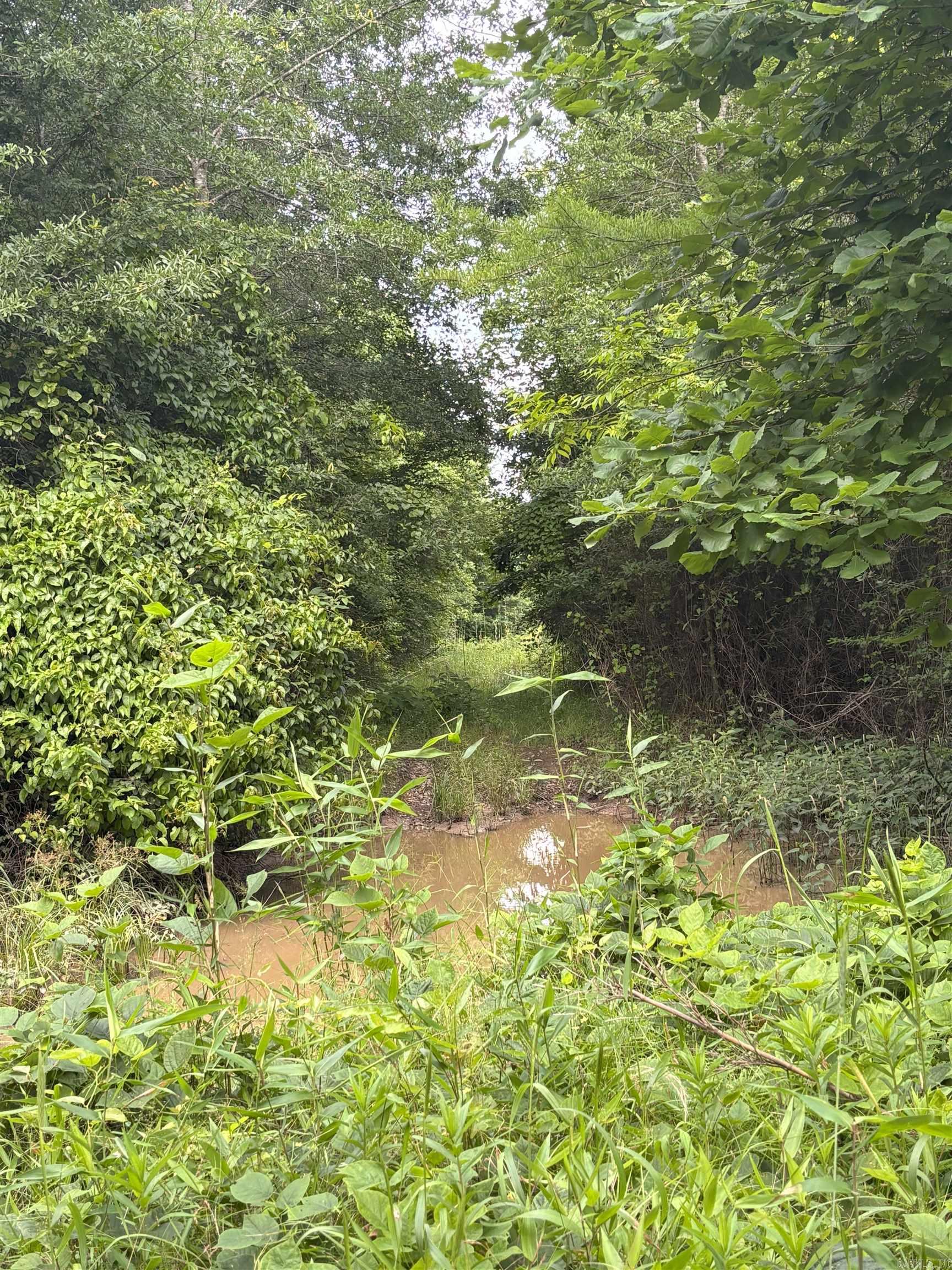 Metes & Bounds - Land