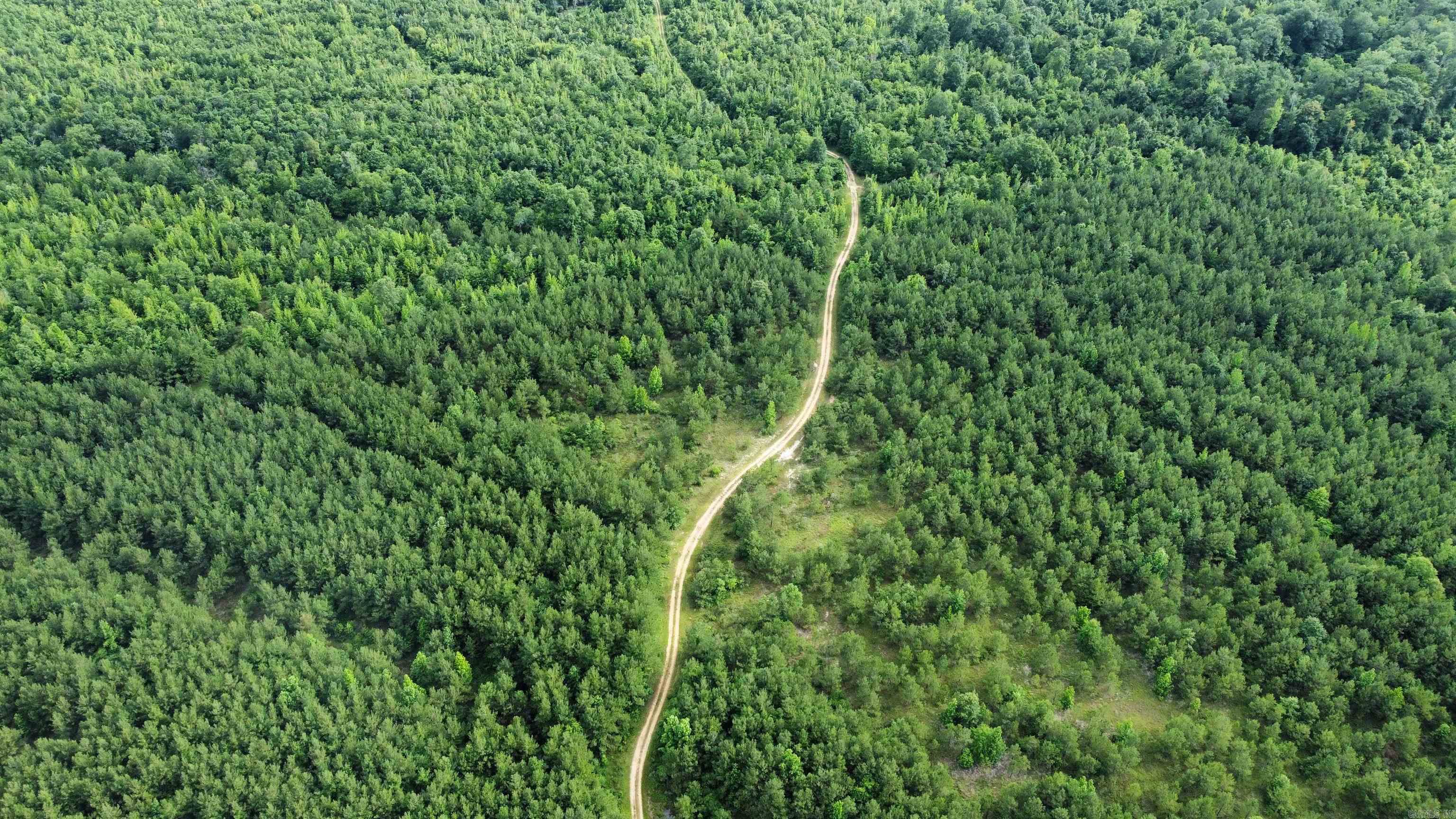 This is a property of a lifetime! 322 acres of a deer/hog/duck hunters dream. This property has approx. 20 acres of around 20-22 year old pines, approx. 70 acres of 12-15 year old pines, and approx. 230 acres of around 15 year old natural regrowth. The SMZ's are large and have a lot of mature timber on them. It has a very nicely built gravel road that runs from the front of it to the back. There are great trails all over this property and places for your deer stands as well. The bar-ditch running along US 278 is loaded with bass, crappie, and bream. The deer population here is extremely well. There have been several great deer harvested on this property and have had several mature bucks on trail camera. This property sits right in the path of a flight way for waterfowl. The Saline river is located just 350 yards away. The US 278 Saline river access is located just under a mile away. The Saline river offers some of the best bass, crappie, bream and catfishing in south Arkansas. Give me a call today to check out this property.