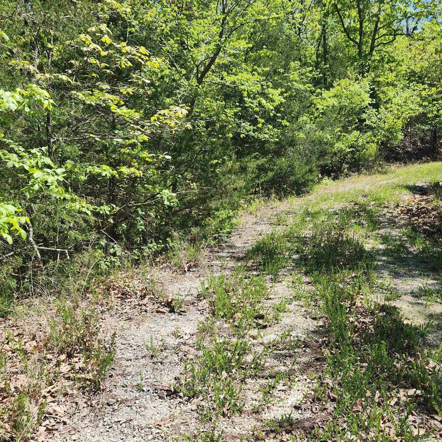 1 Nice wooded lot in a secluded area of Cherokee Village. Secluded but close to the South Golf course, Lake Omaha and the Omaha Center. Come take a look at this wonderful gently sloped lot with an uphill slope. Come pick your spot to build your retirement home, family home or just a get-away from it all home. Cherokee Village has it all. With 7 lakes, 2 Golf courses and the Beautiful Southfork River. What more could you need? The adjacent lot is also available, so that you could have nearly half an acre of property.