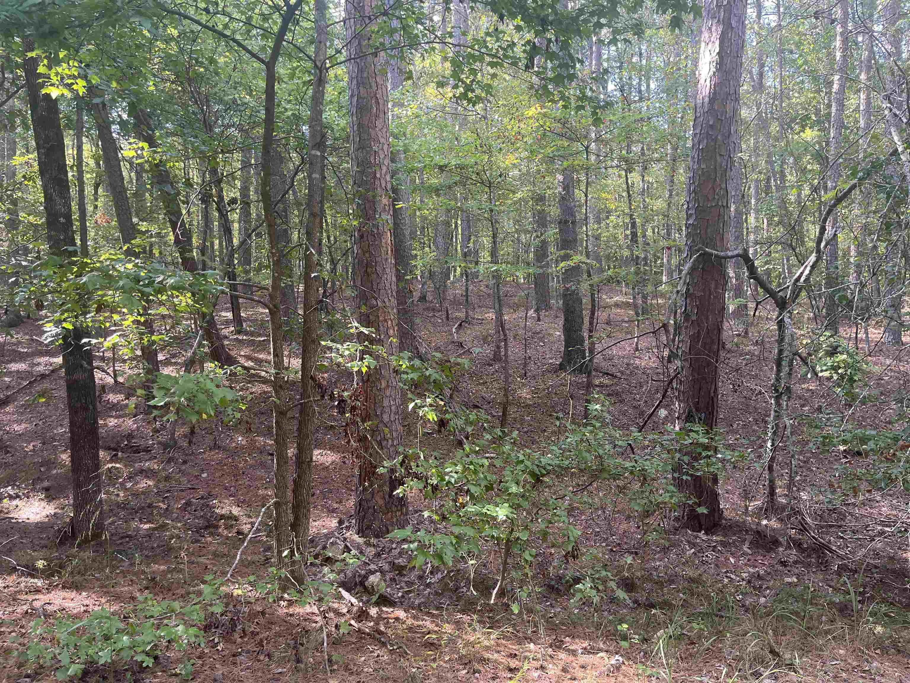Beautiful Treed lot in Hot Springs Village. This is the perfect location to build your dream home! Hot Springs Village is a gated community surrounded by the Ouachita mountains offering 11 recreational lakes, 9 golf courses, miles of hiking and biking trails and loads of social activities.