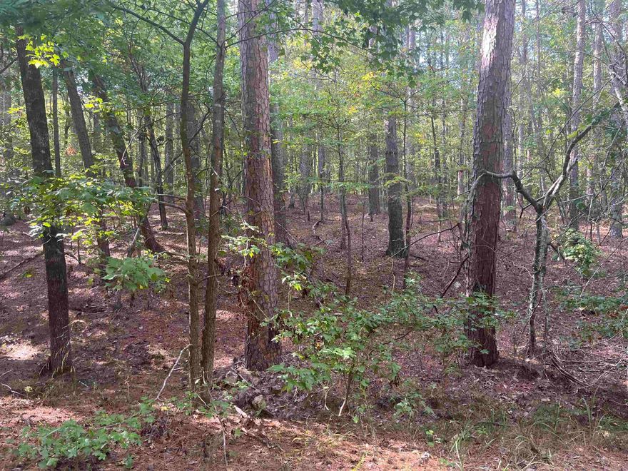 Beautiful Treed lot in Hot Springs Village. This is the perfect location to build your dream home!  Hot Springs Village is a gated community surrounded by the Ouachita mountains offering 11 recreational lakes, 9 golf courses, miles of hiking and biking trails and loads of social activities.