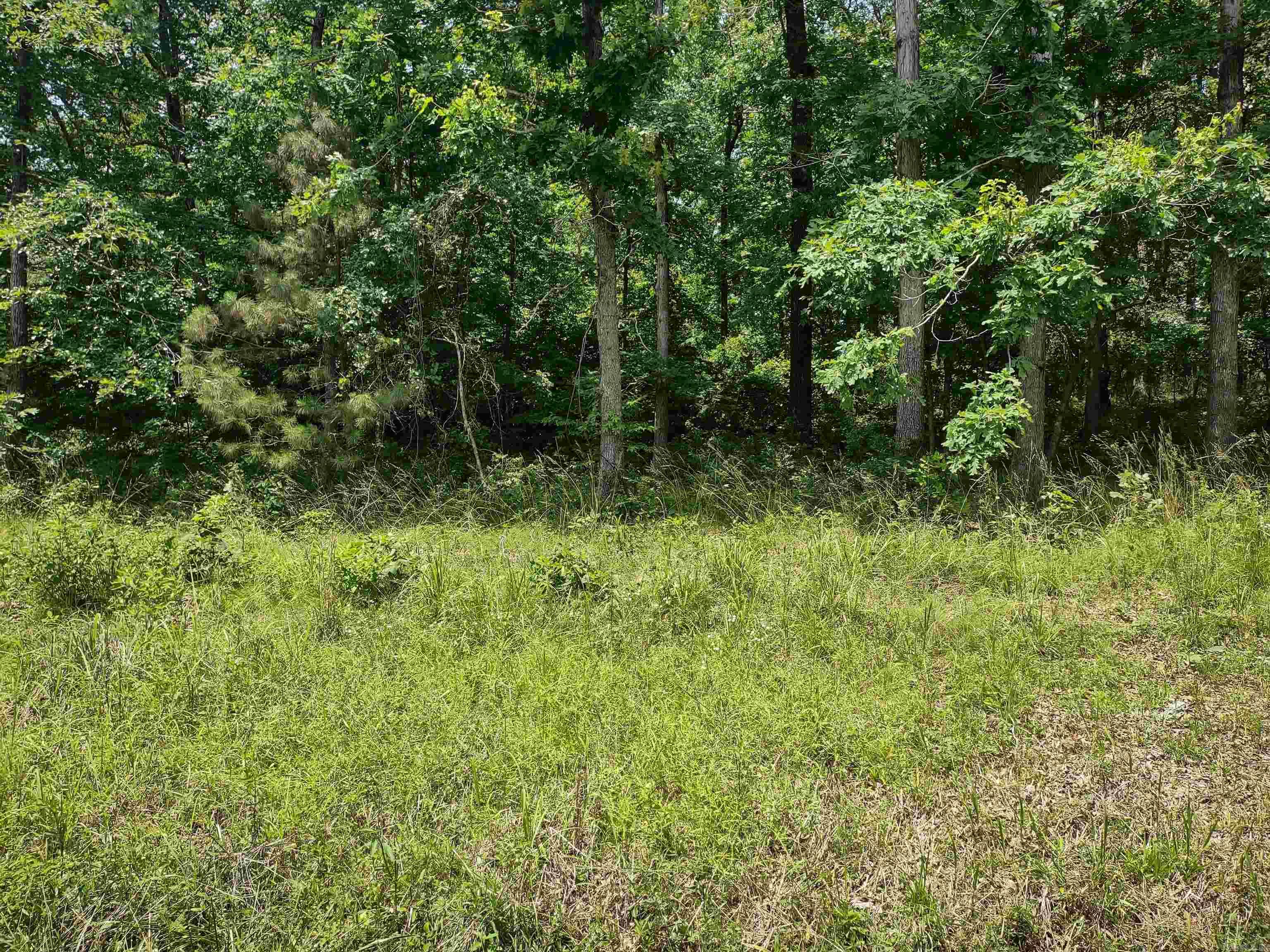 Check out this great lot in Hot Springs Village! This level lot provides an ideal palette for your dream home. Tucked in the heart of this charming community, the property boasts a prime location with seamless access to amenities, ensuring a lifestyle of comfort and convenience. Don't let the chance slip away to own a piece of Hot Springs Village, where your aspirations can take shape. Connect with us today to tour this lot and bring your vision to life. For first-time Hot Springs Village members, there's a one-time buy-in fee of $1500. Feel free to reach out with any inquiries!