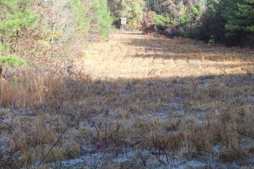 80 acres of timberland available. GREAT FOR HUNTING